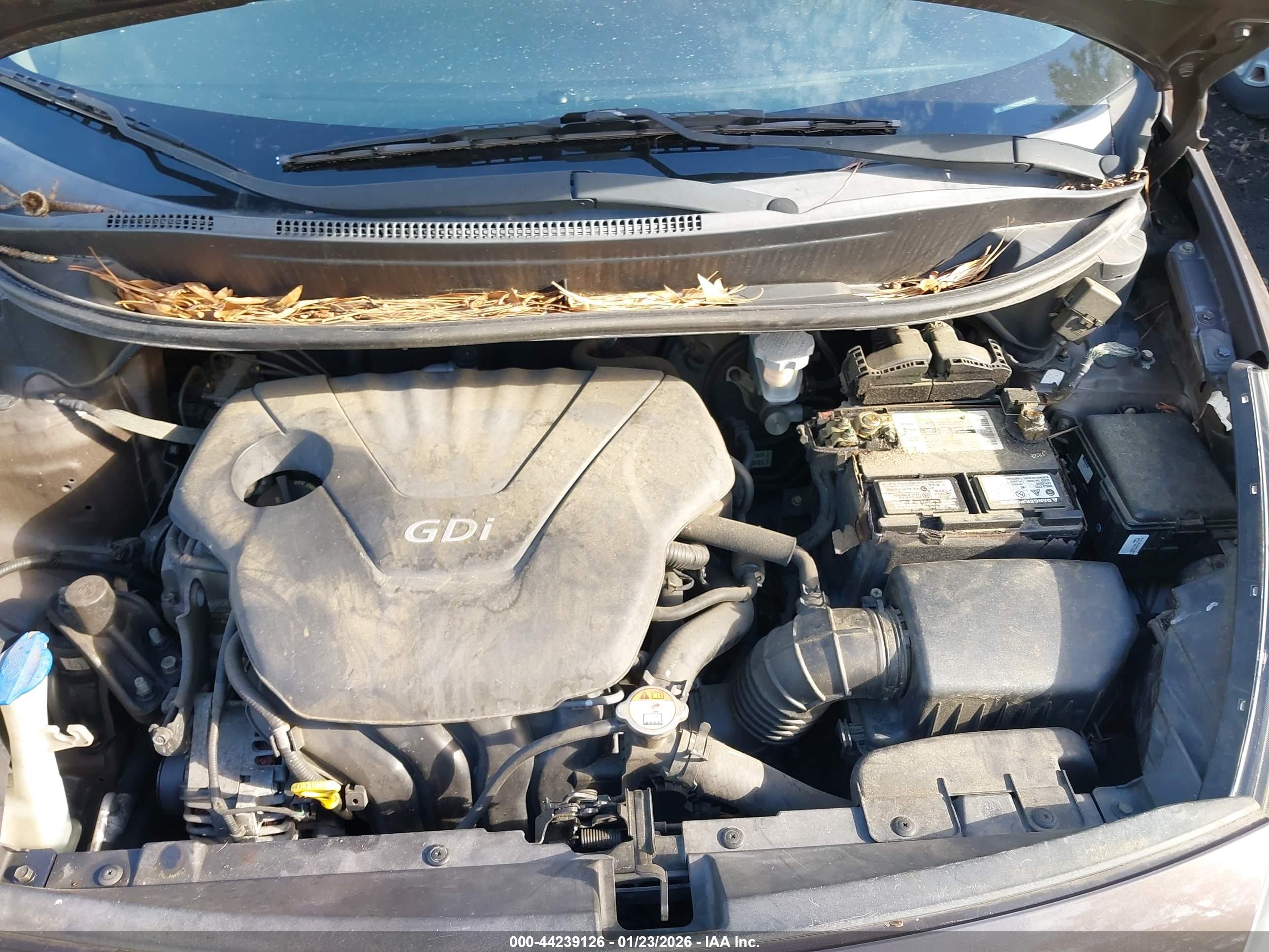 KIA RIO image 10