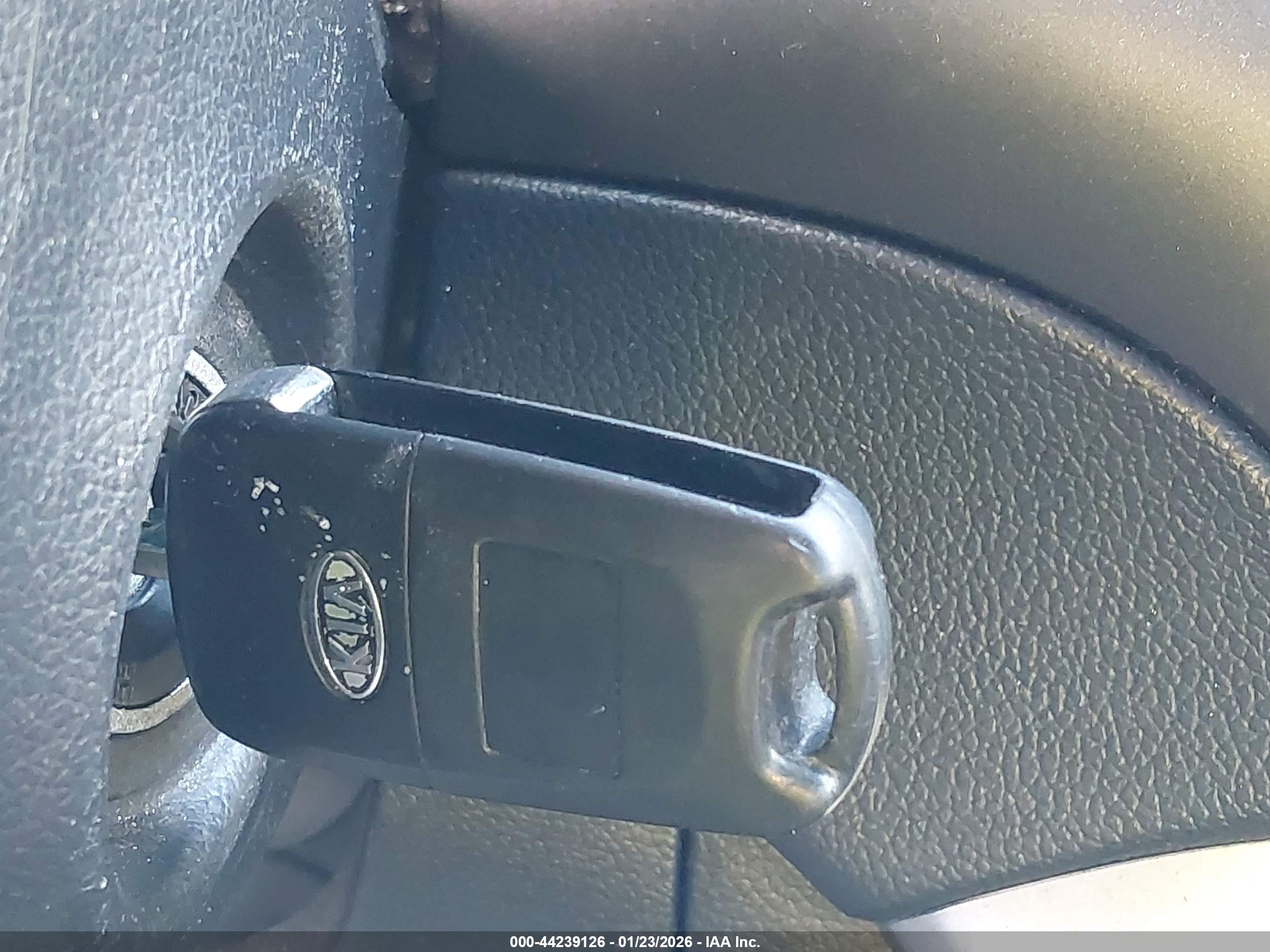 KIA RIO image 11