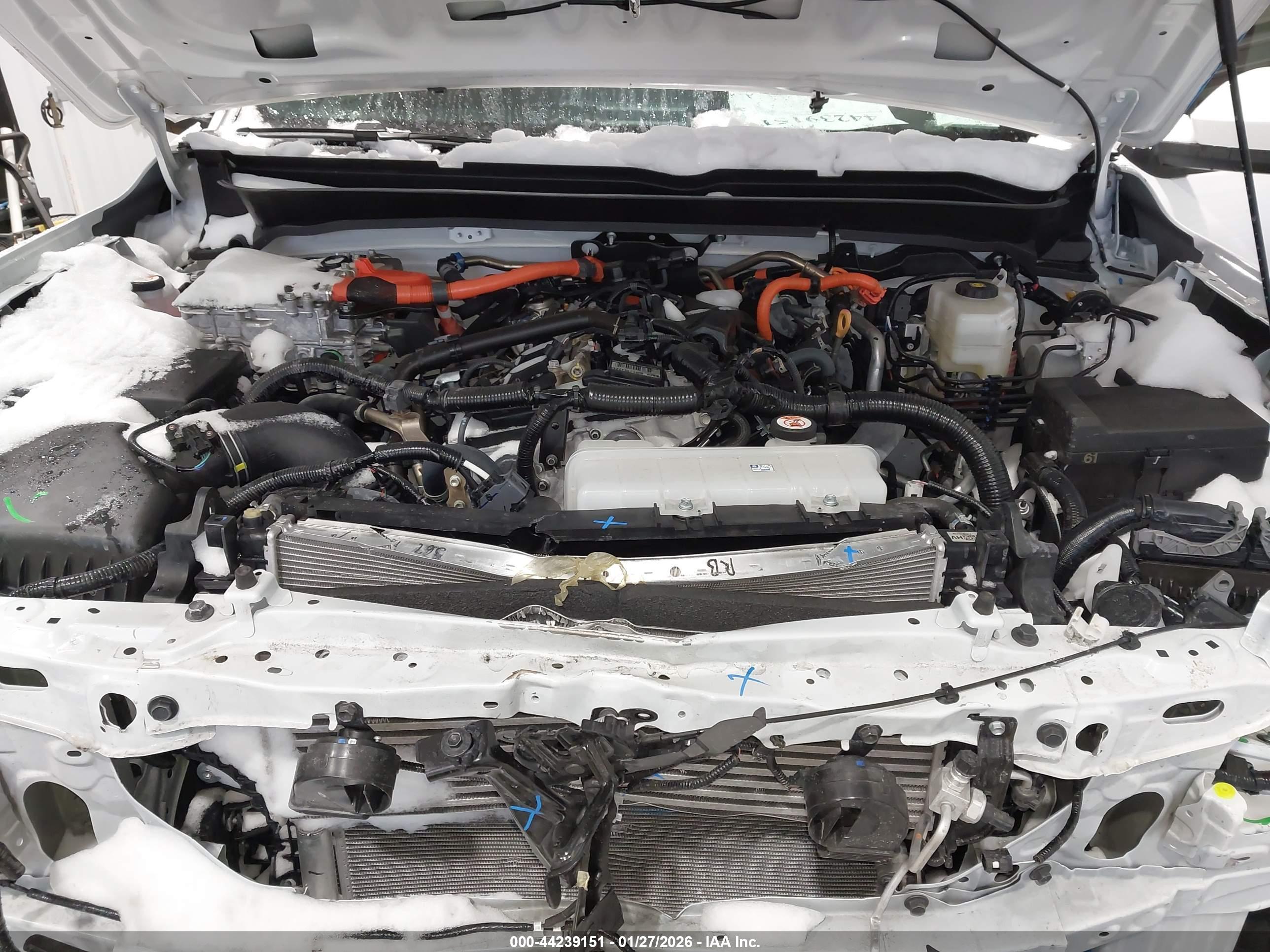 TOYOTA TACOMA image 10