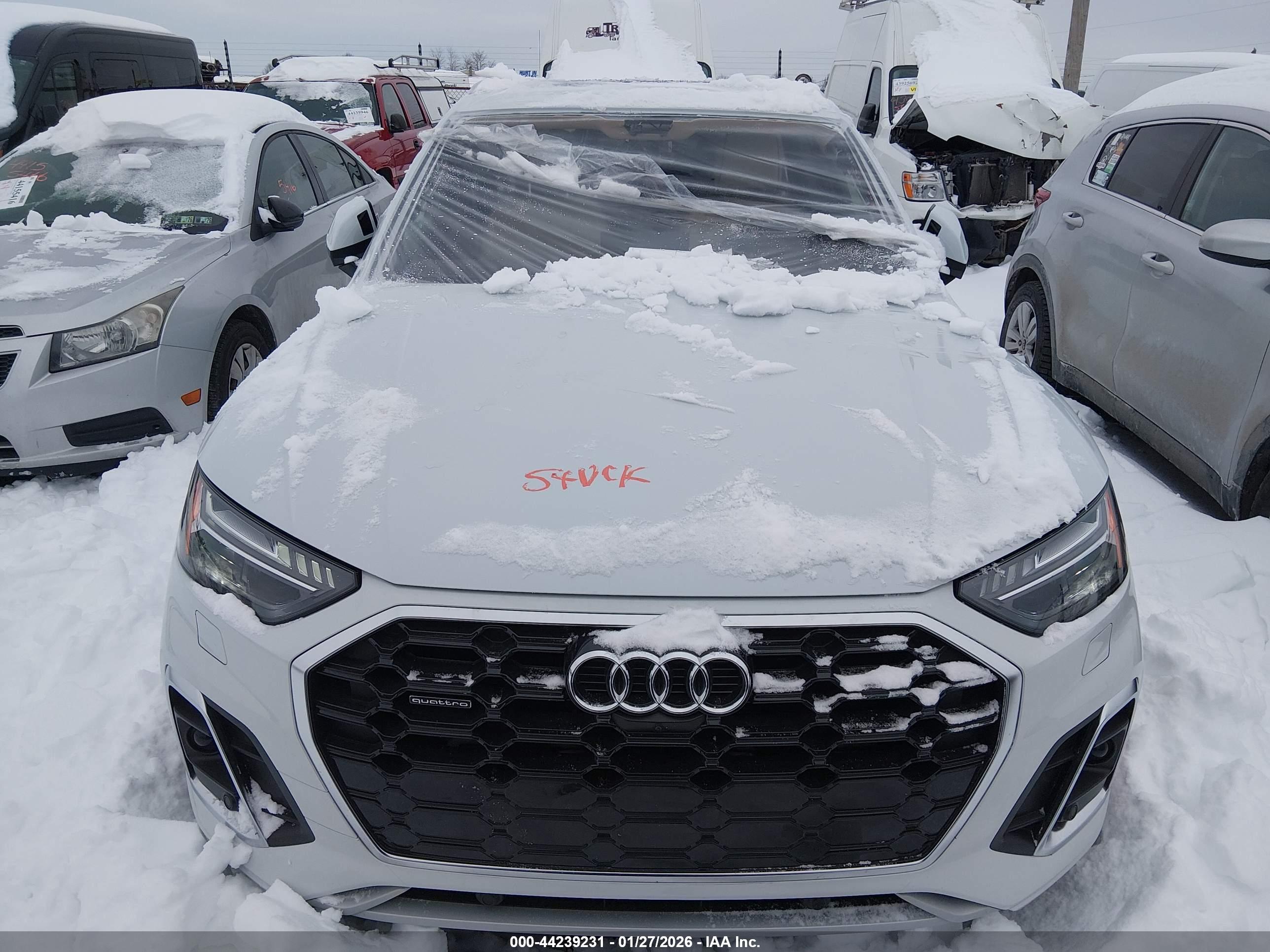 AUDI Q5 image 10