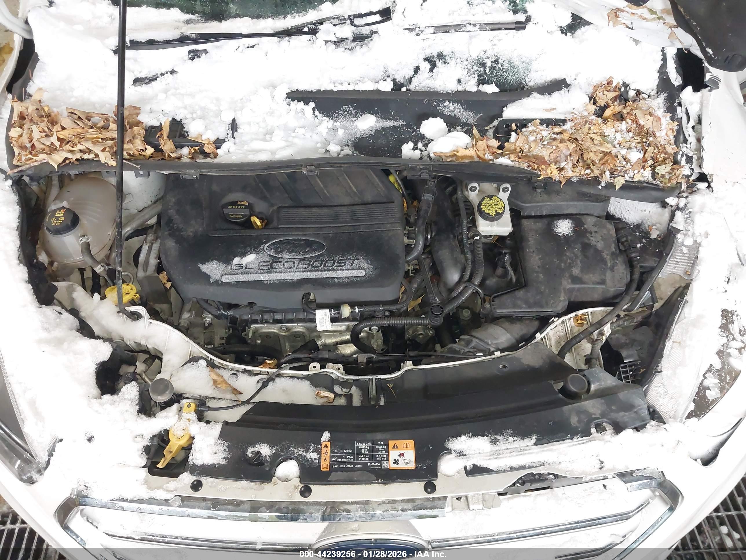 FORD ESCAPE image 10