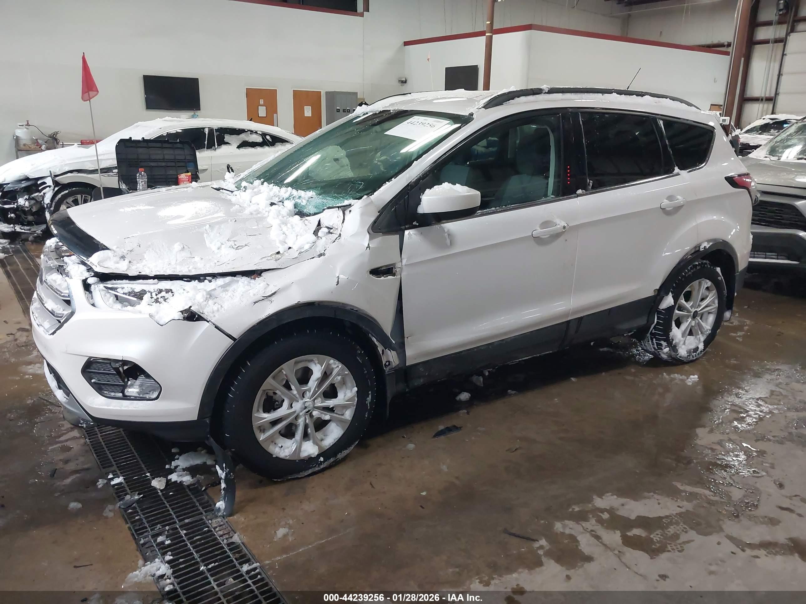 FORD ESCAPE image 2