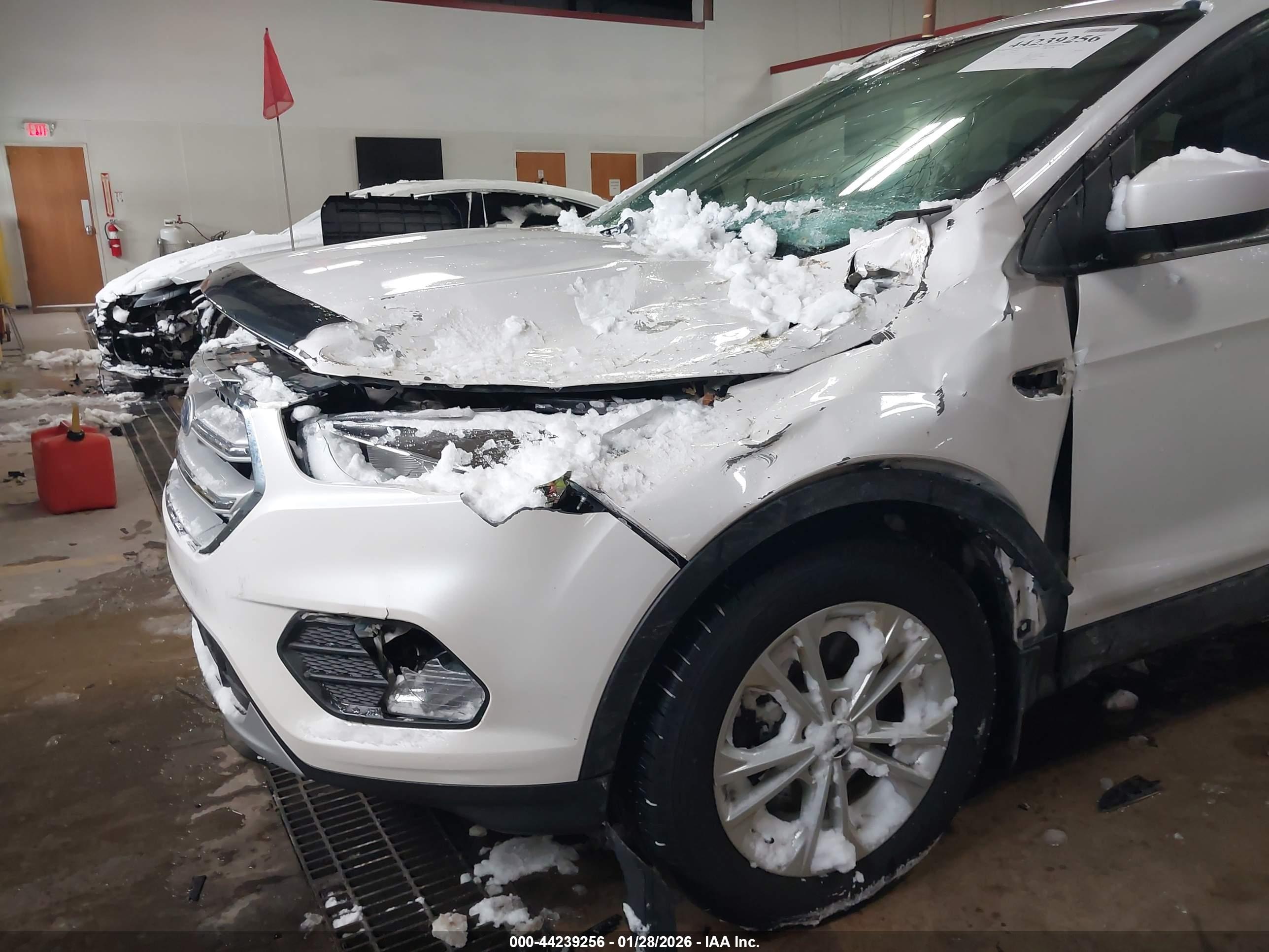 FORD ESCAPE image 6