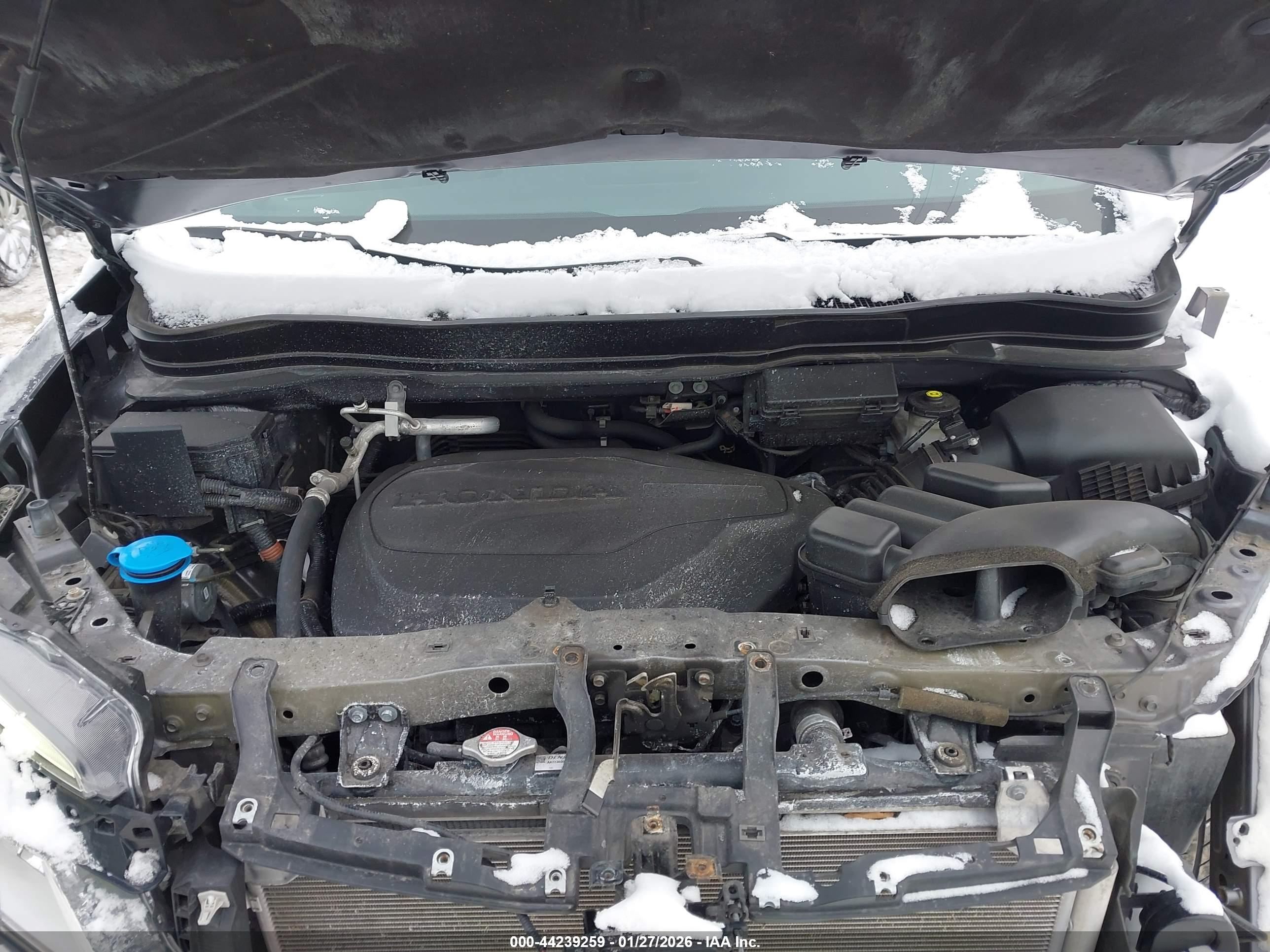 HONDA PASSPORT image 10