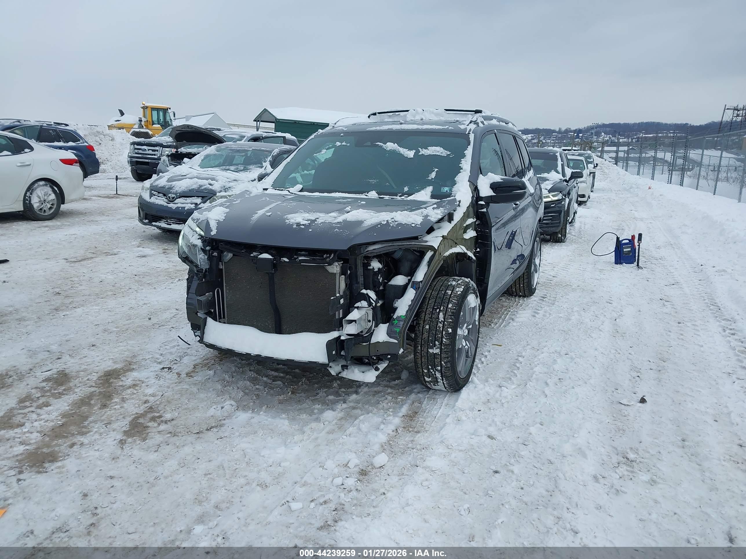 HONDA PASSPORT image 2