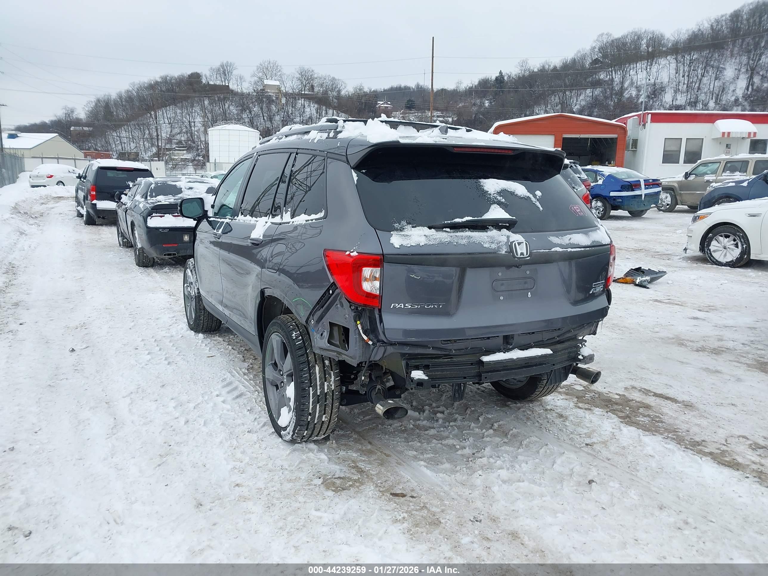 HONDA PASSPORT image 3