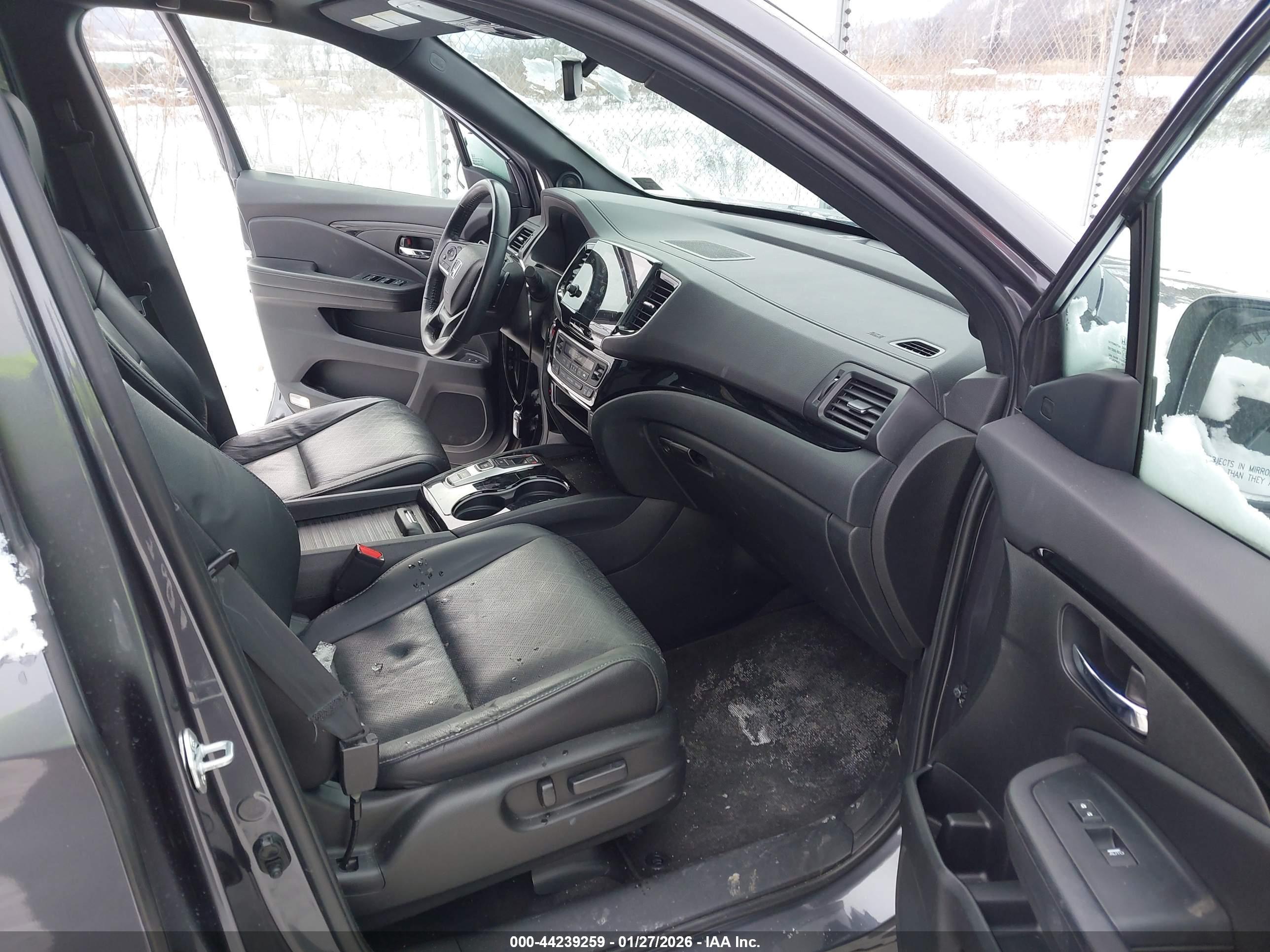 HONDA PASSPORT image 5