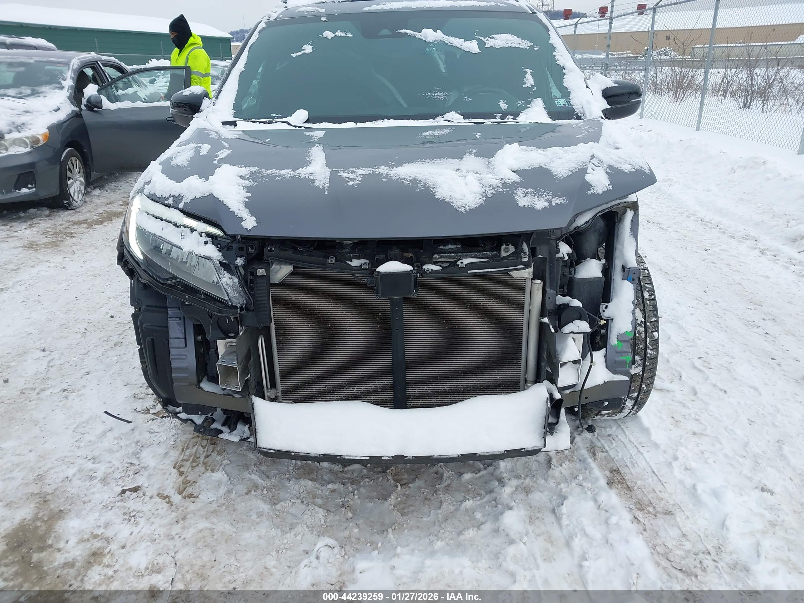 HONDA PASSPORT image 6