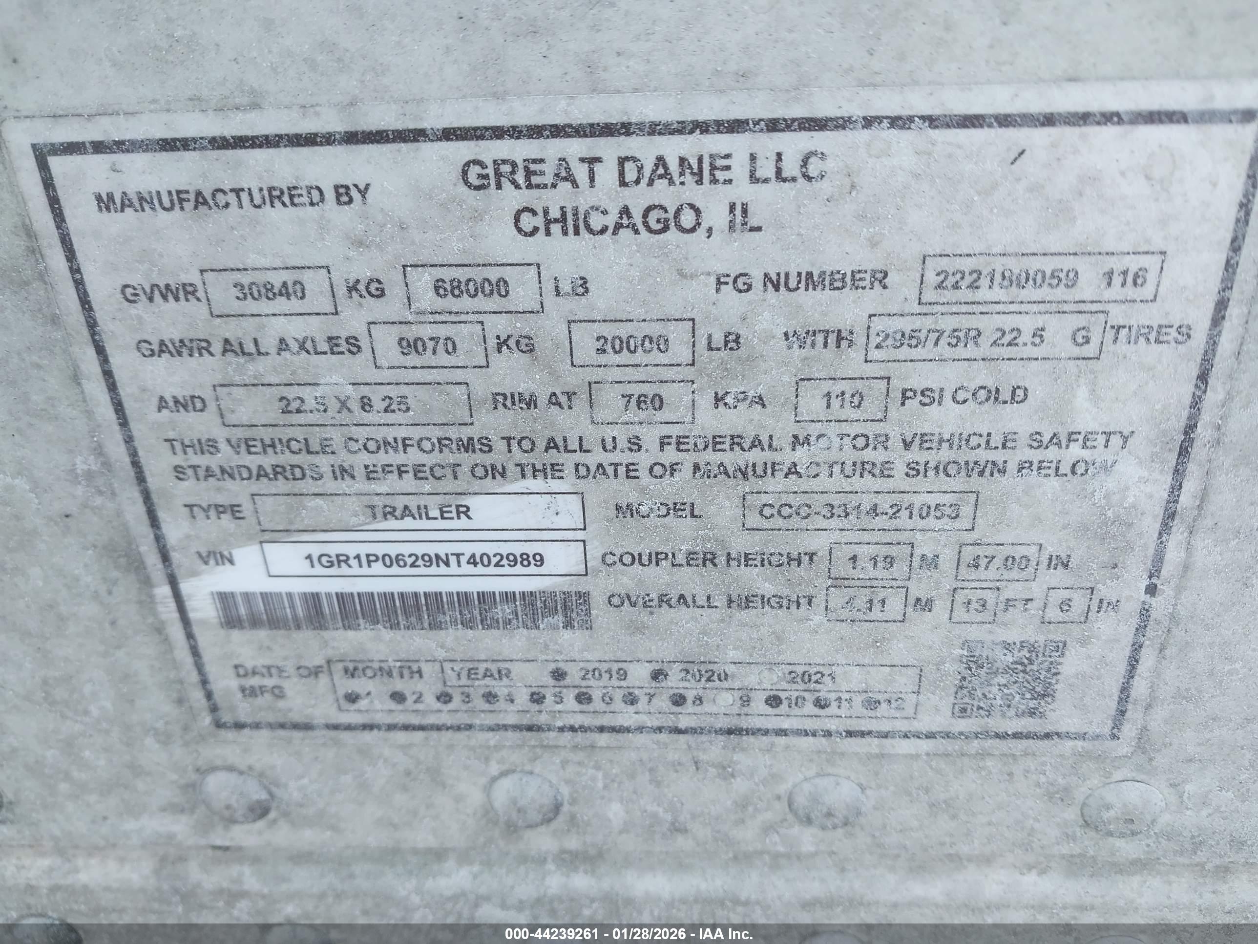 GREAT DANE image 9