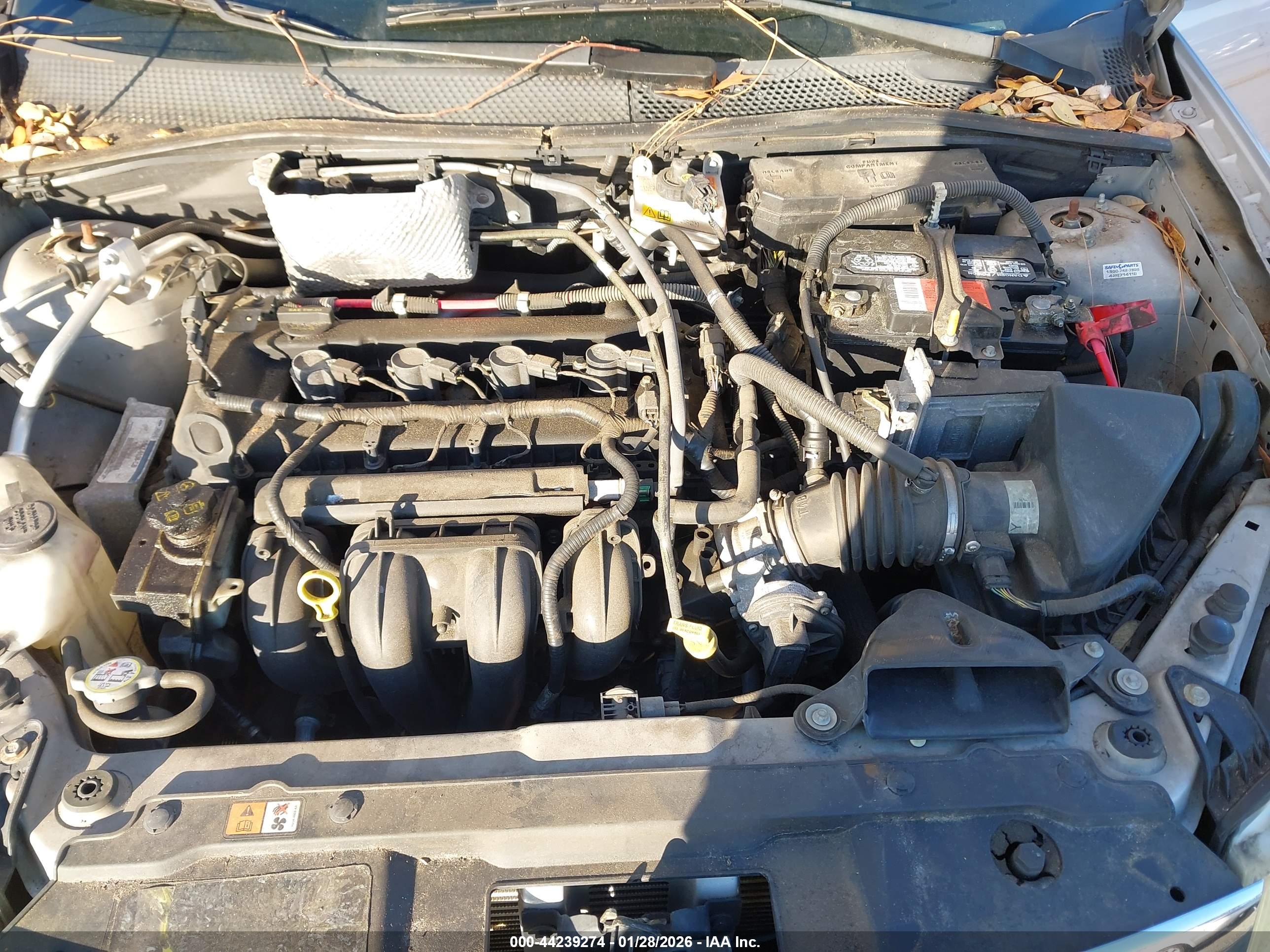 FORD FOCUS image 10