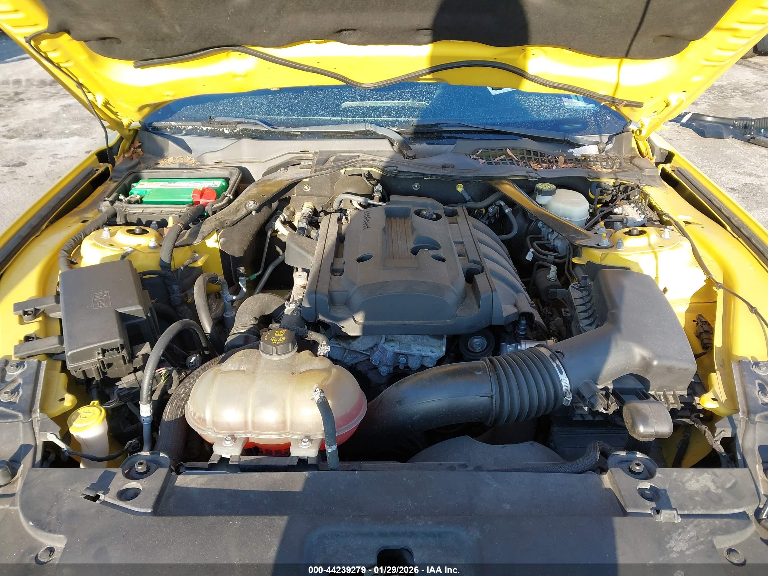 FORD MUSTANG image 10