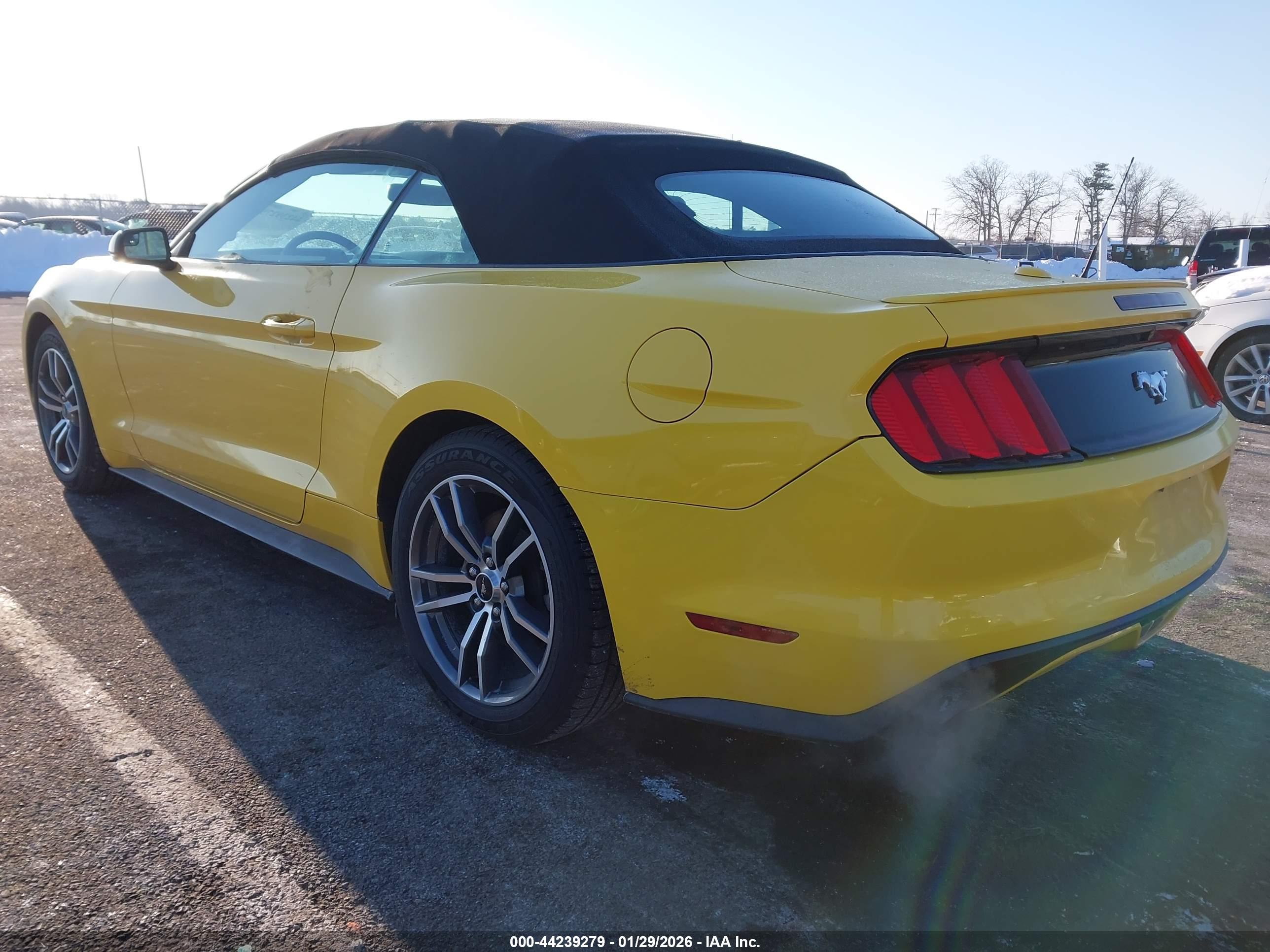 FORD MUSTANG image 3
