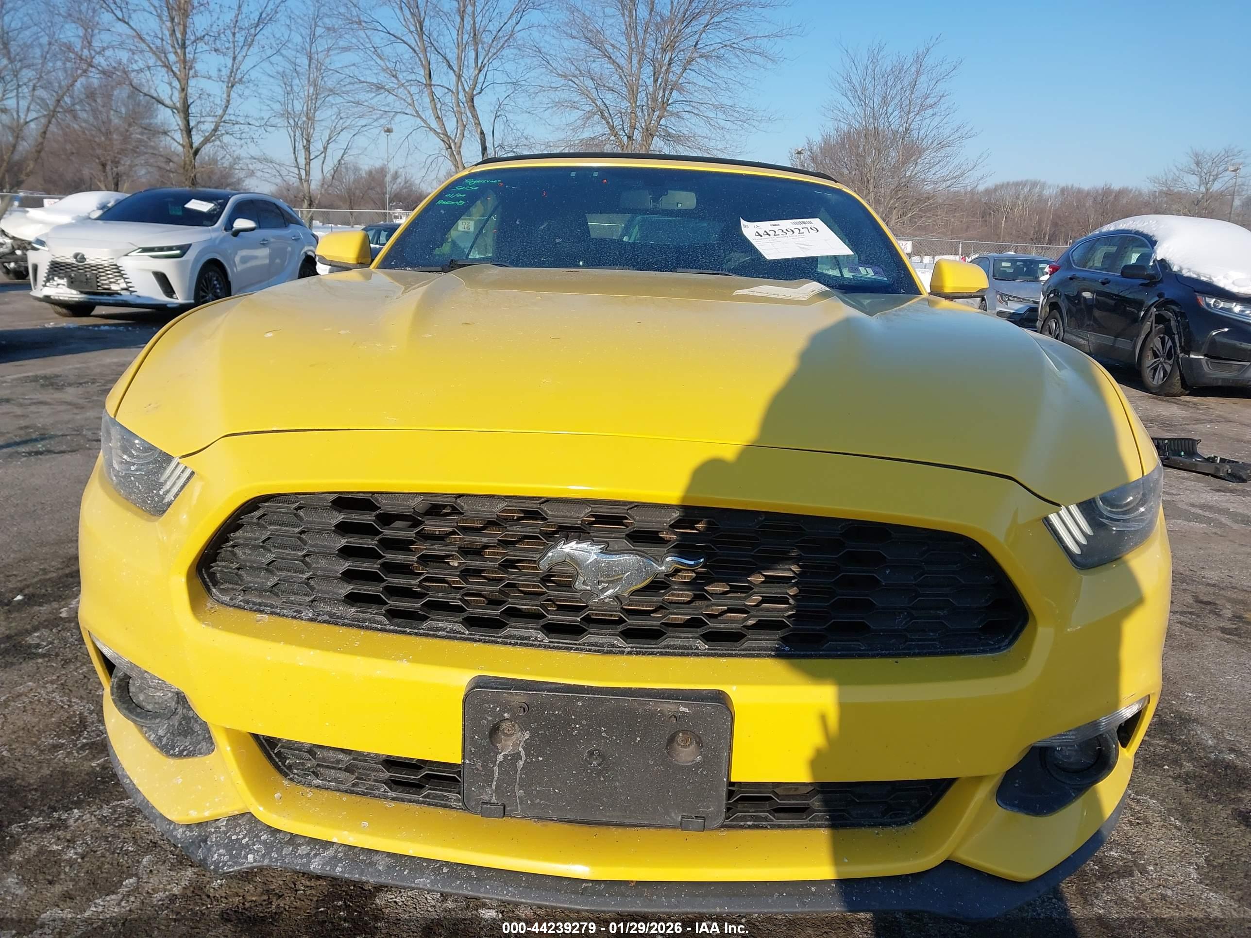 FORD MUSTANG image 6