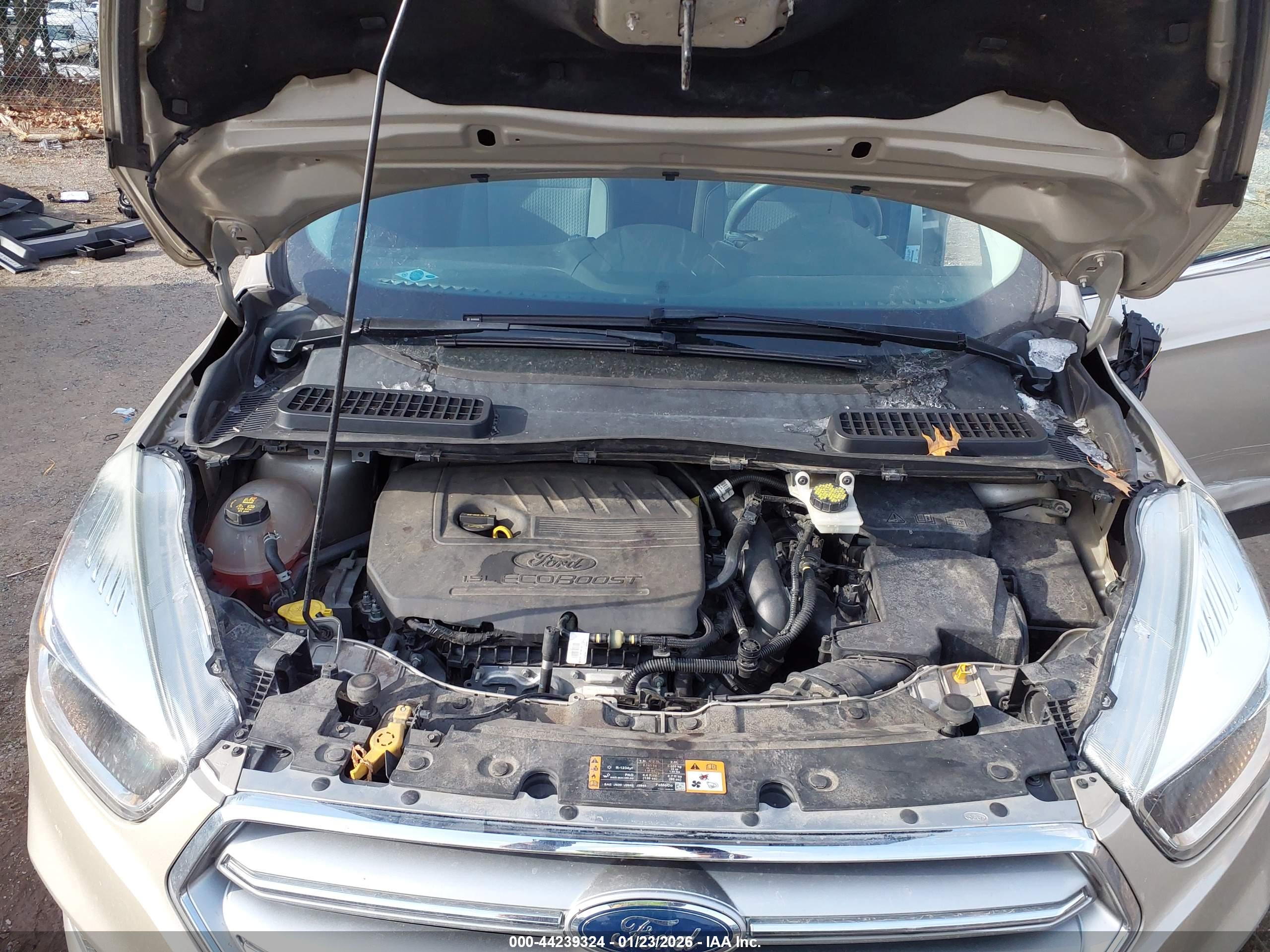 FORD ESCAPE image 10