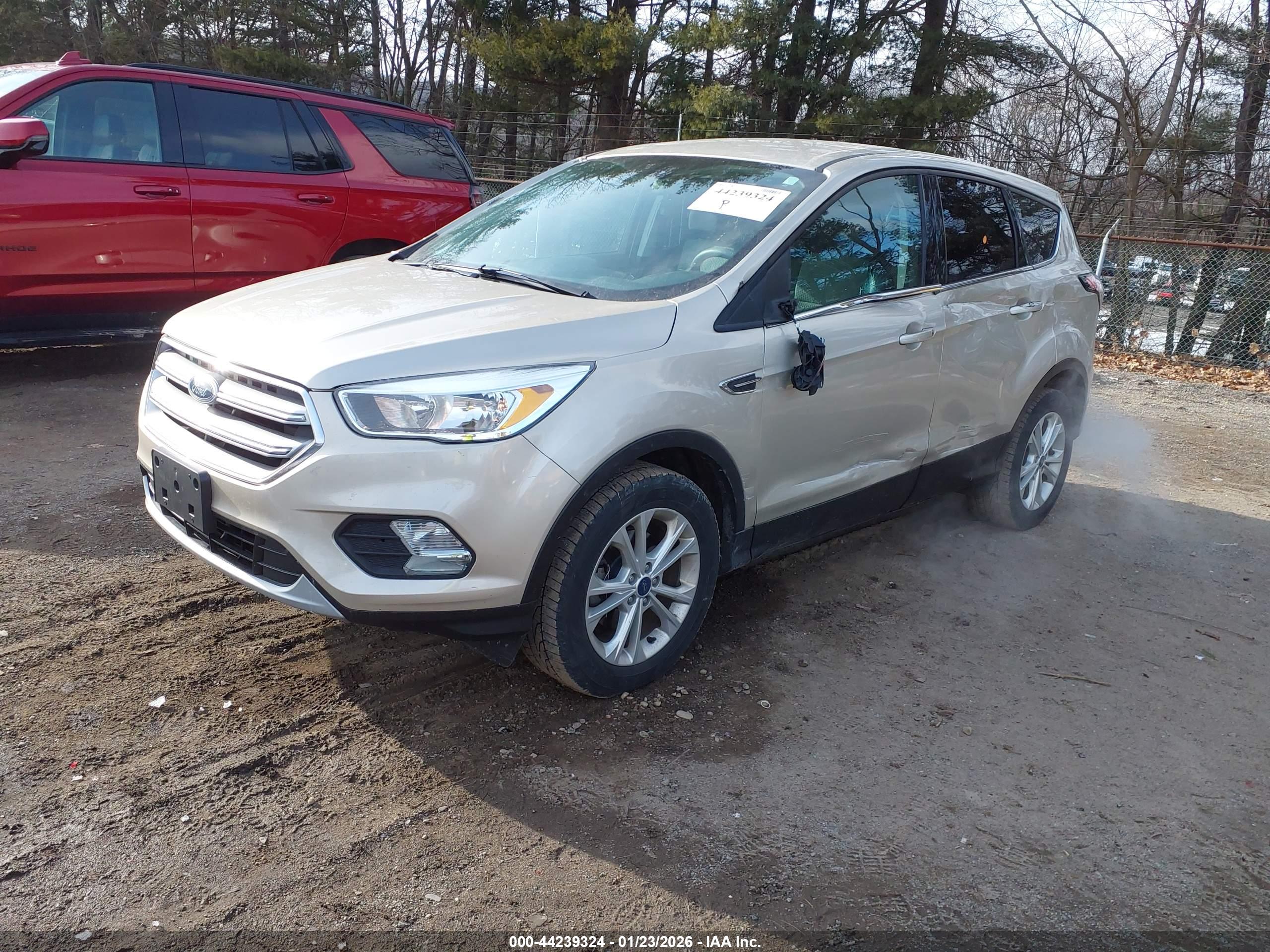 FORD ESCAPE image 2