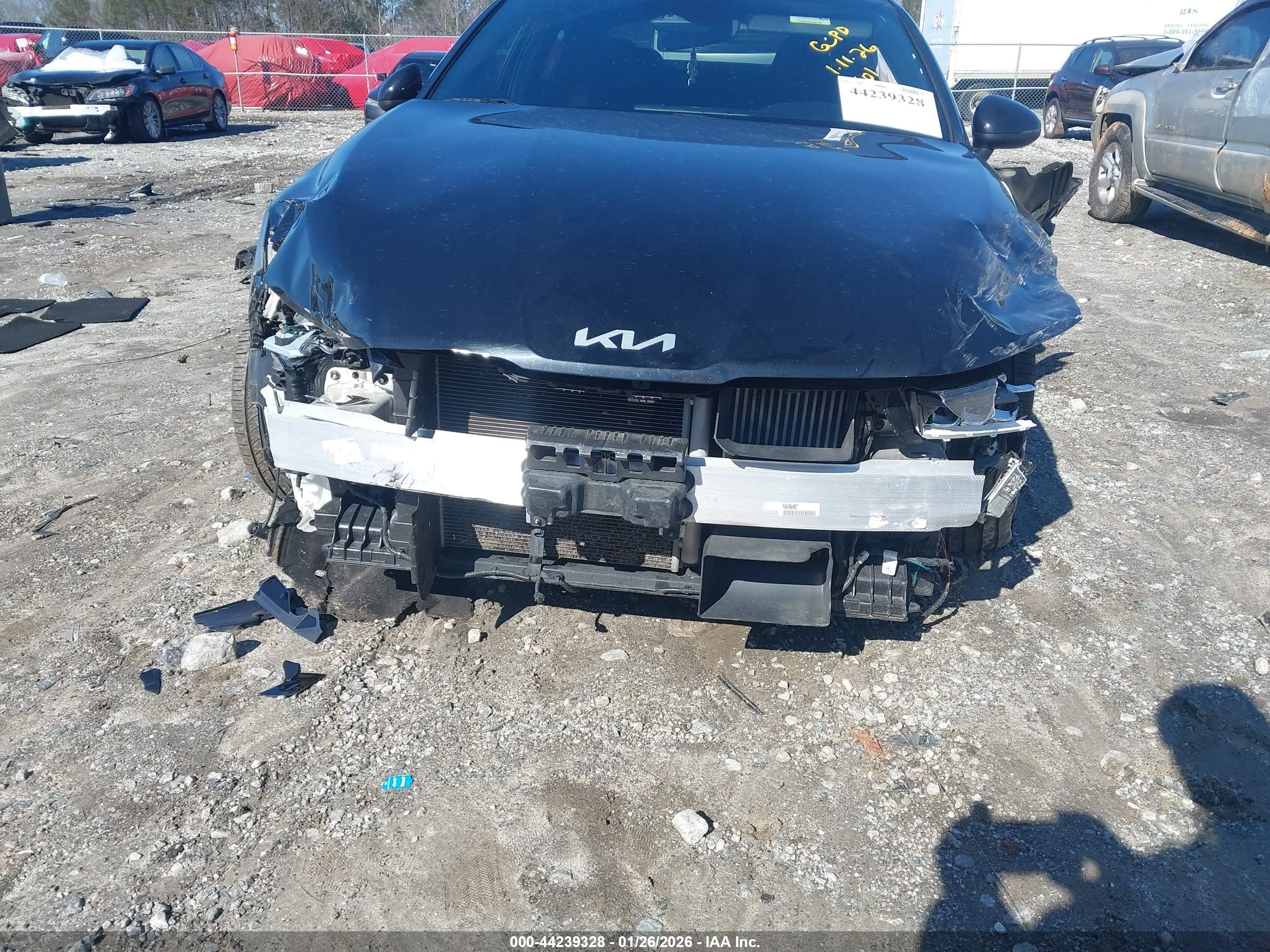 KIA K5 image 6