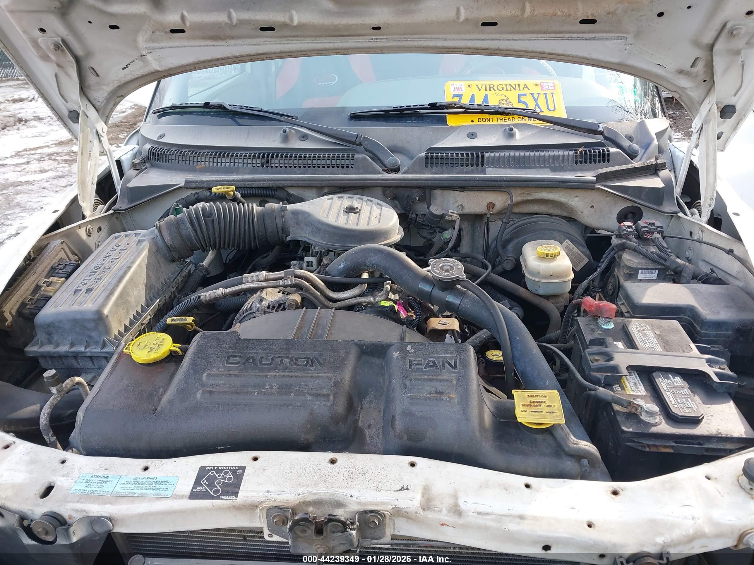 DODGE DAKOTA image 10