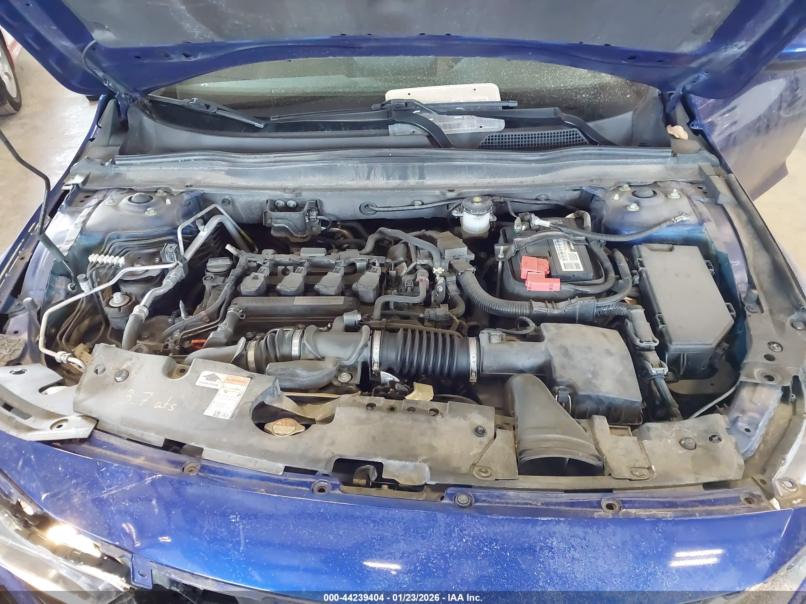 HONDA ACCORD image 10