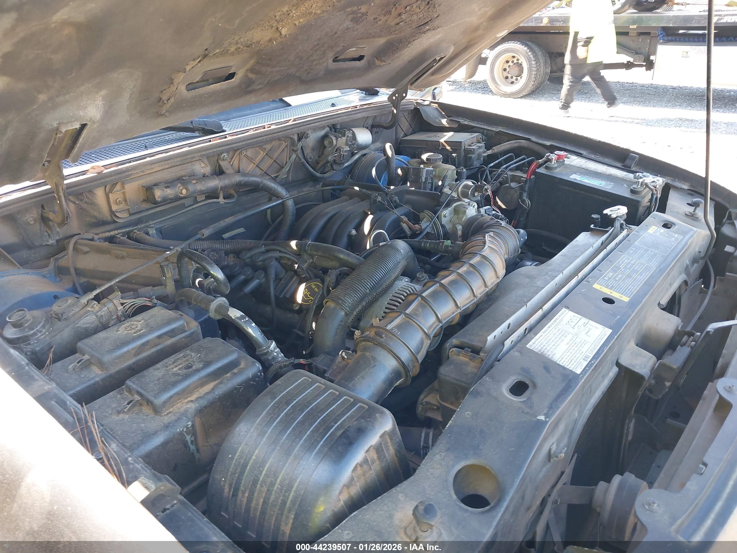 FORD RANGER image 10