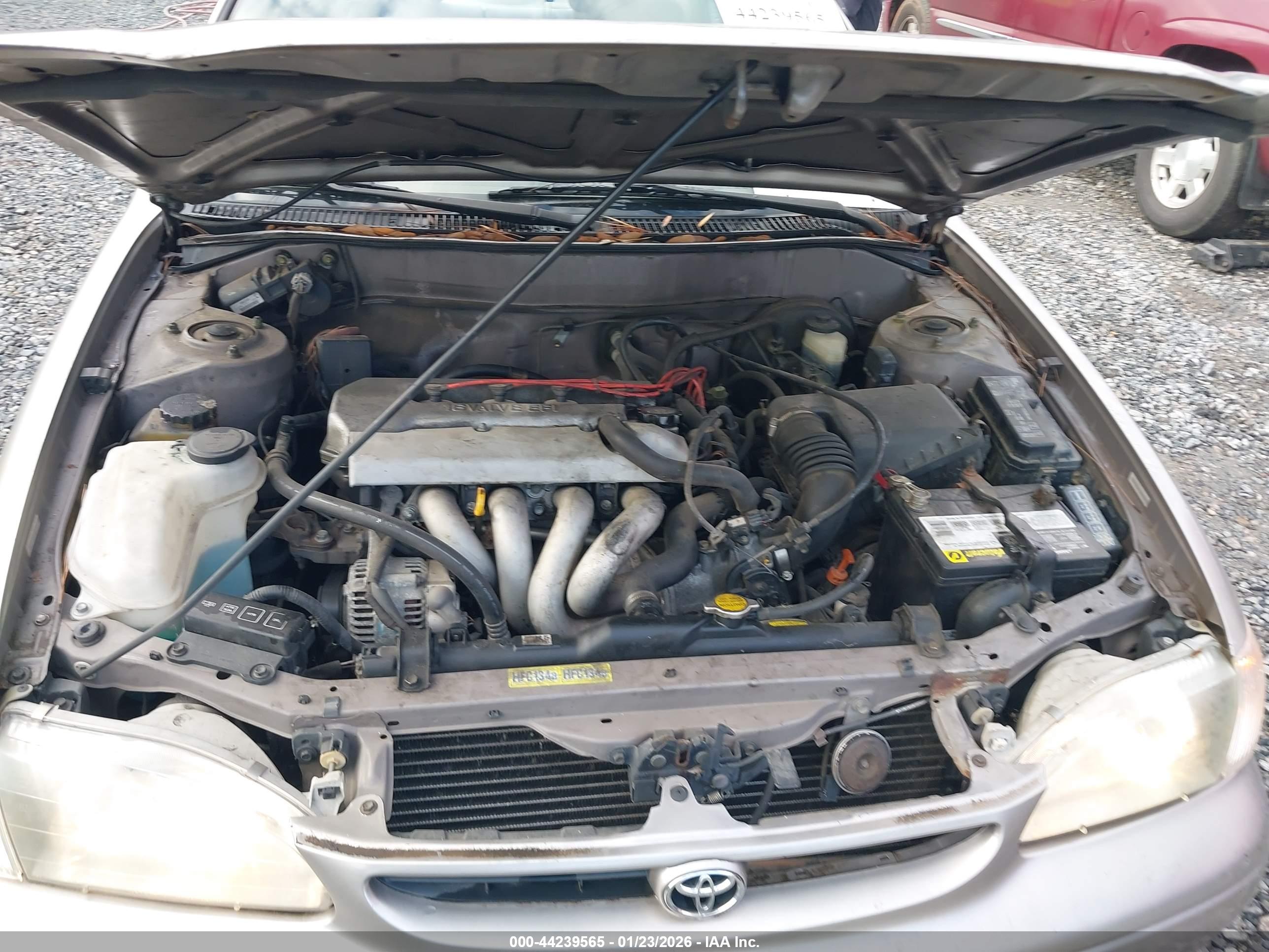 TOYOTA COROLLA image 10