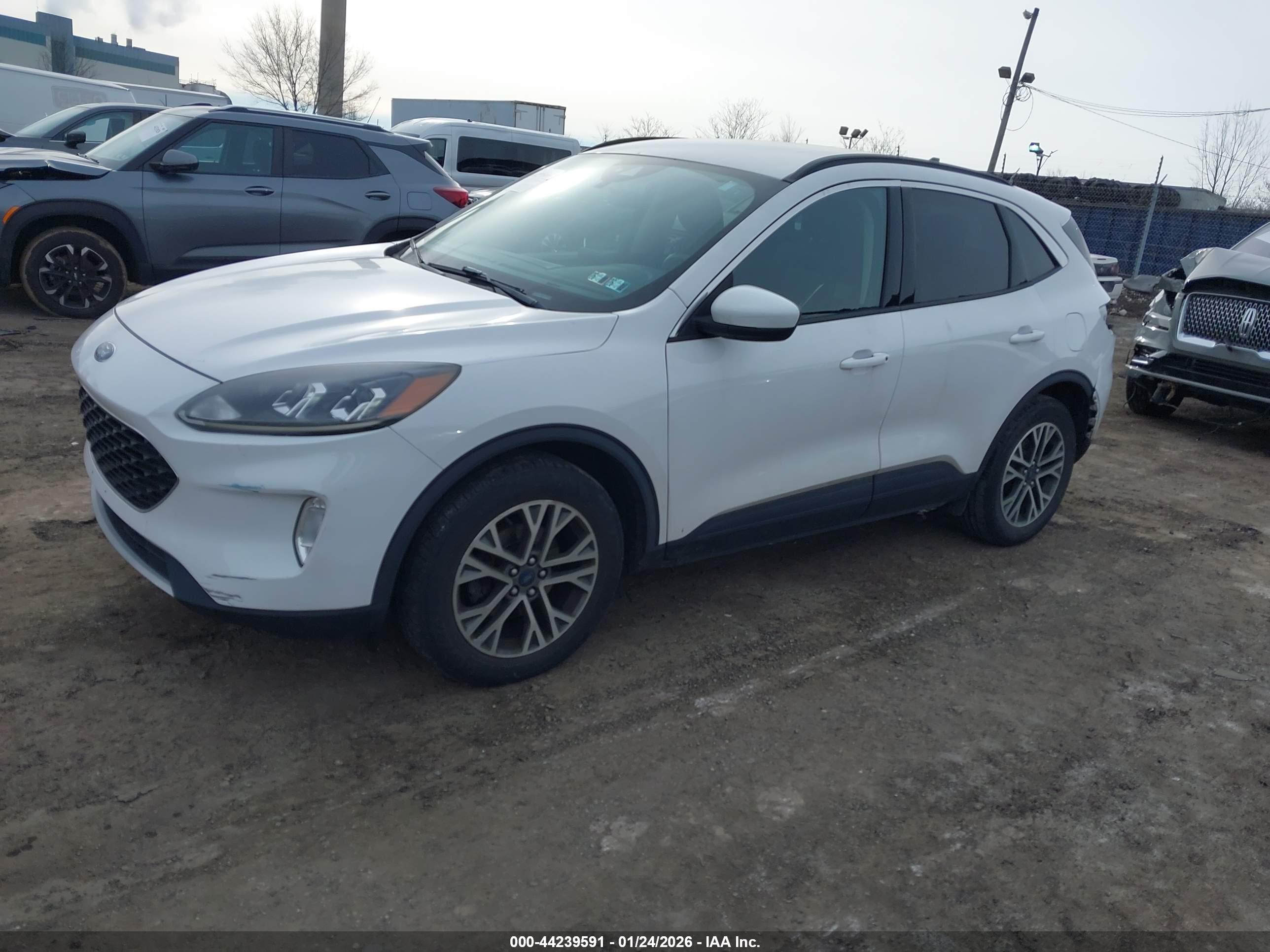 FORD ESCAPE image 2