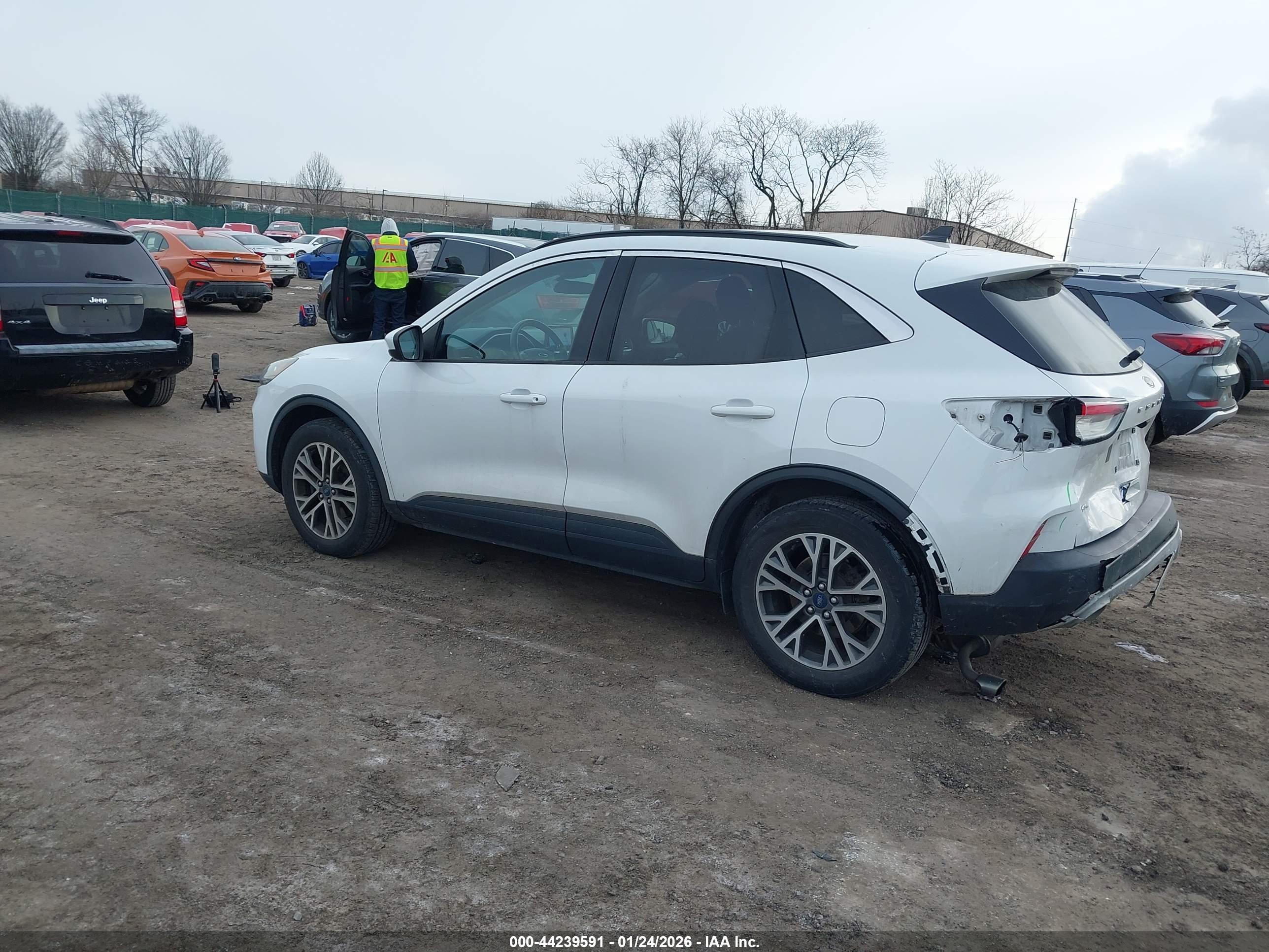 FORD ESCAPE image 3