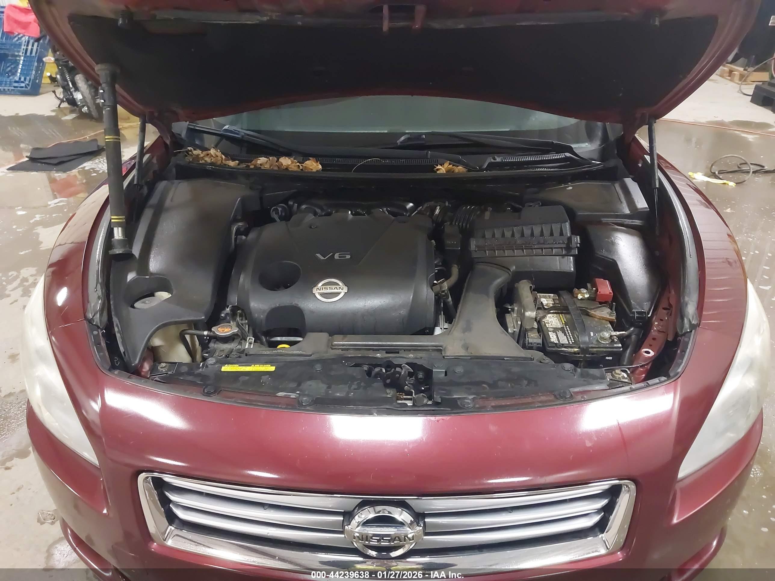 NISSAN MAXIMA image 10