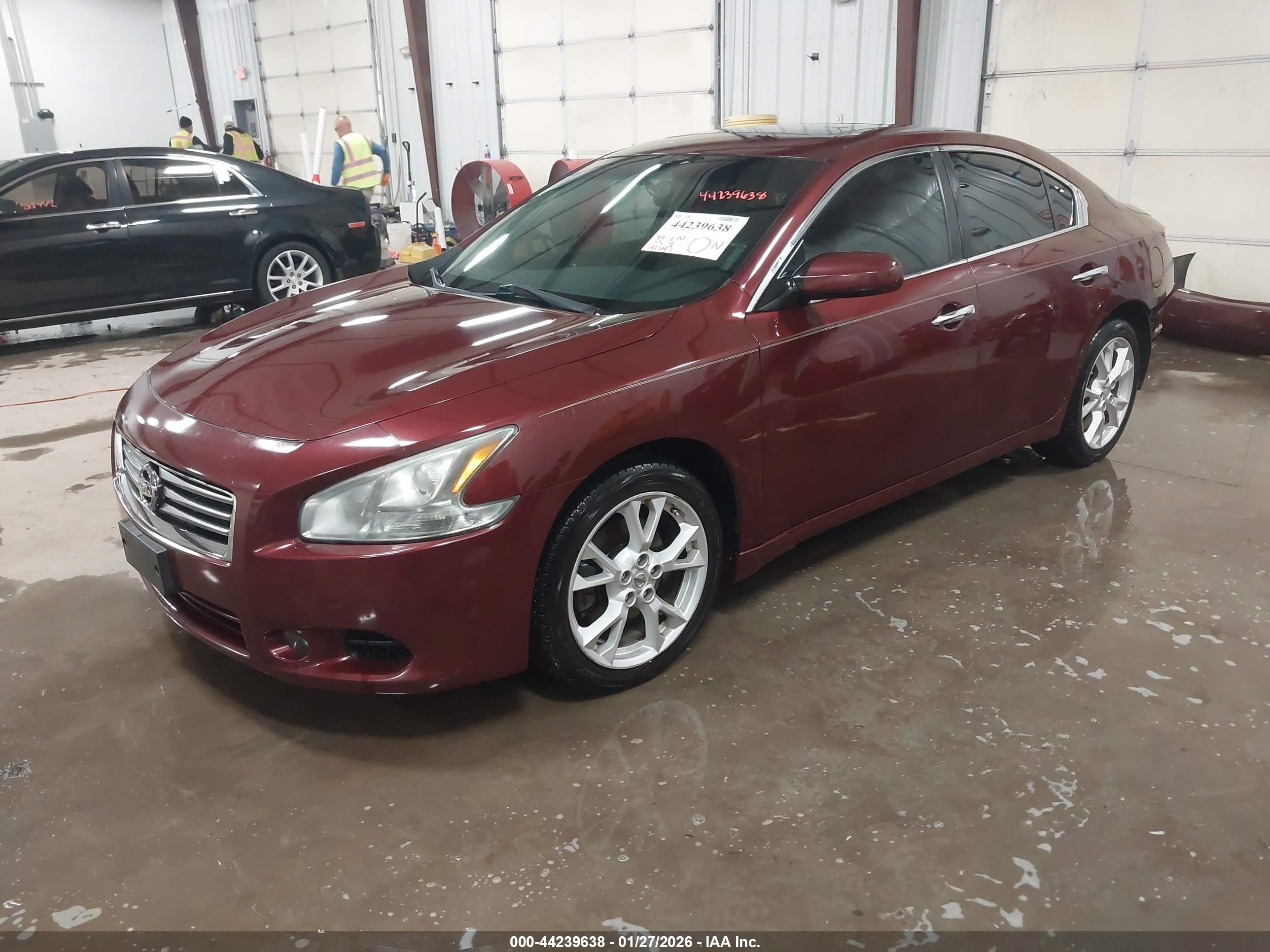 NISSAN MAXIMA image 2