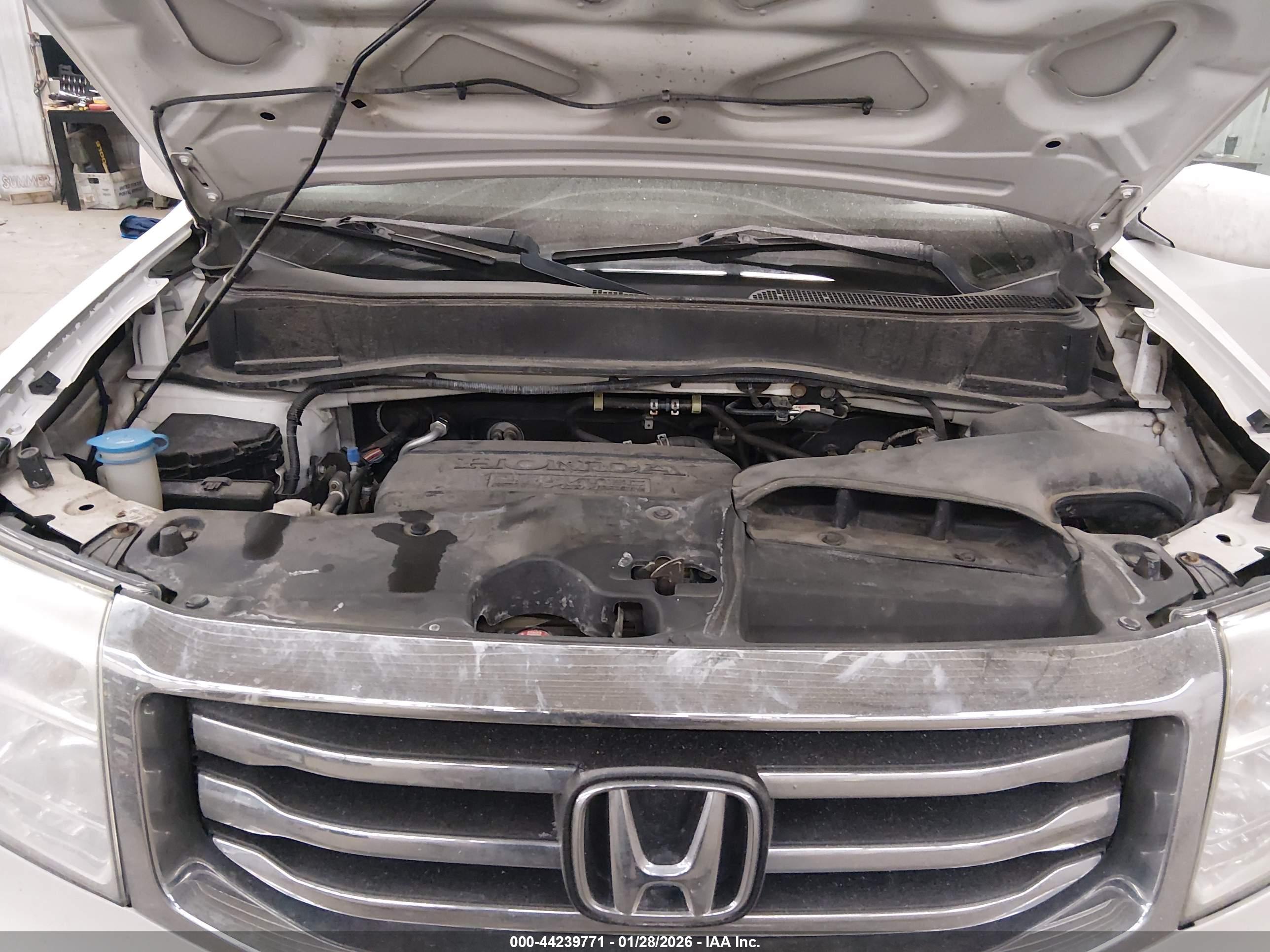 HONDA PILOT image 10