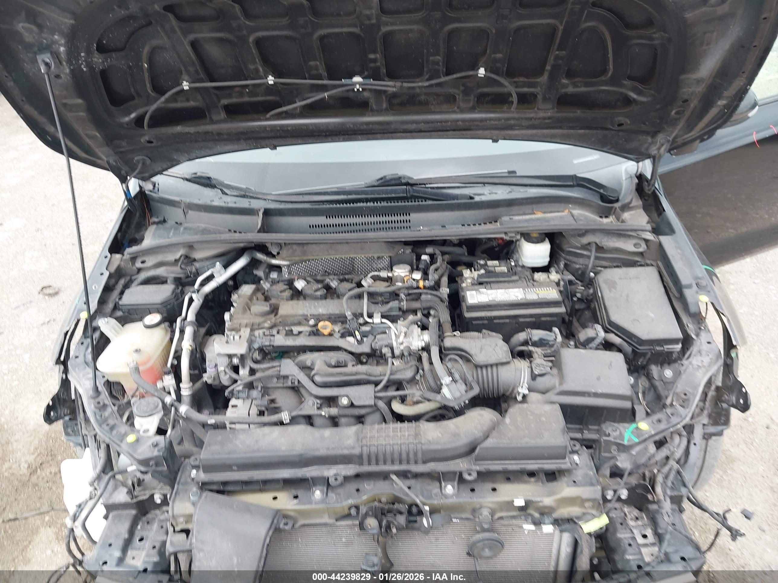 TOYOTA COROLLA image 10