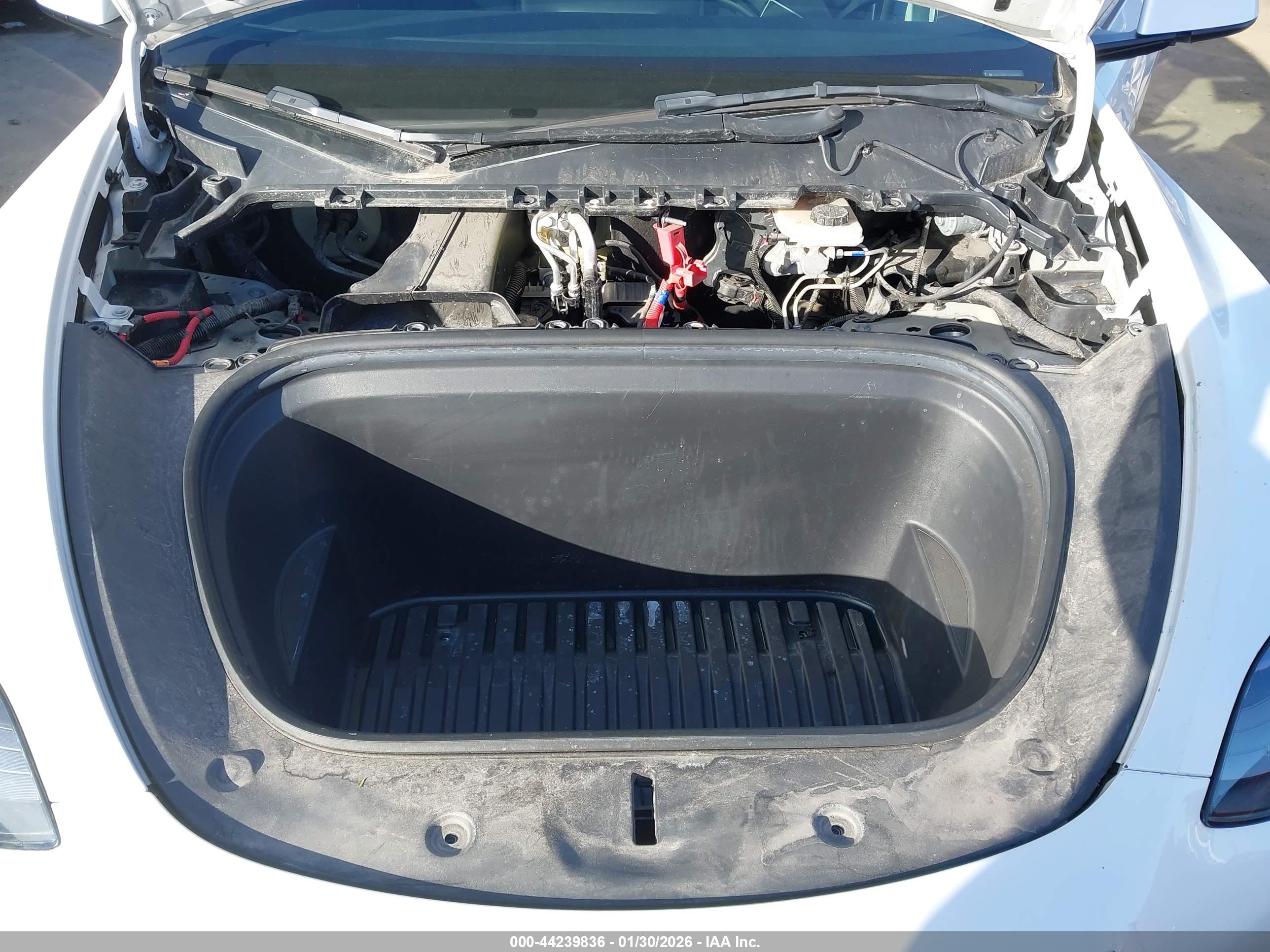 TESLA MODEL image 10