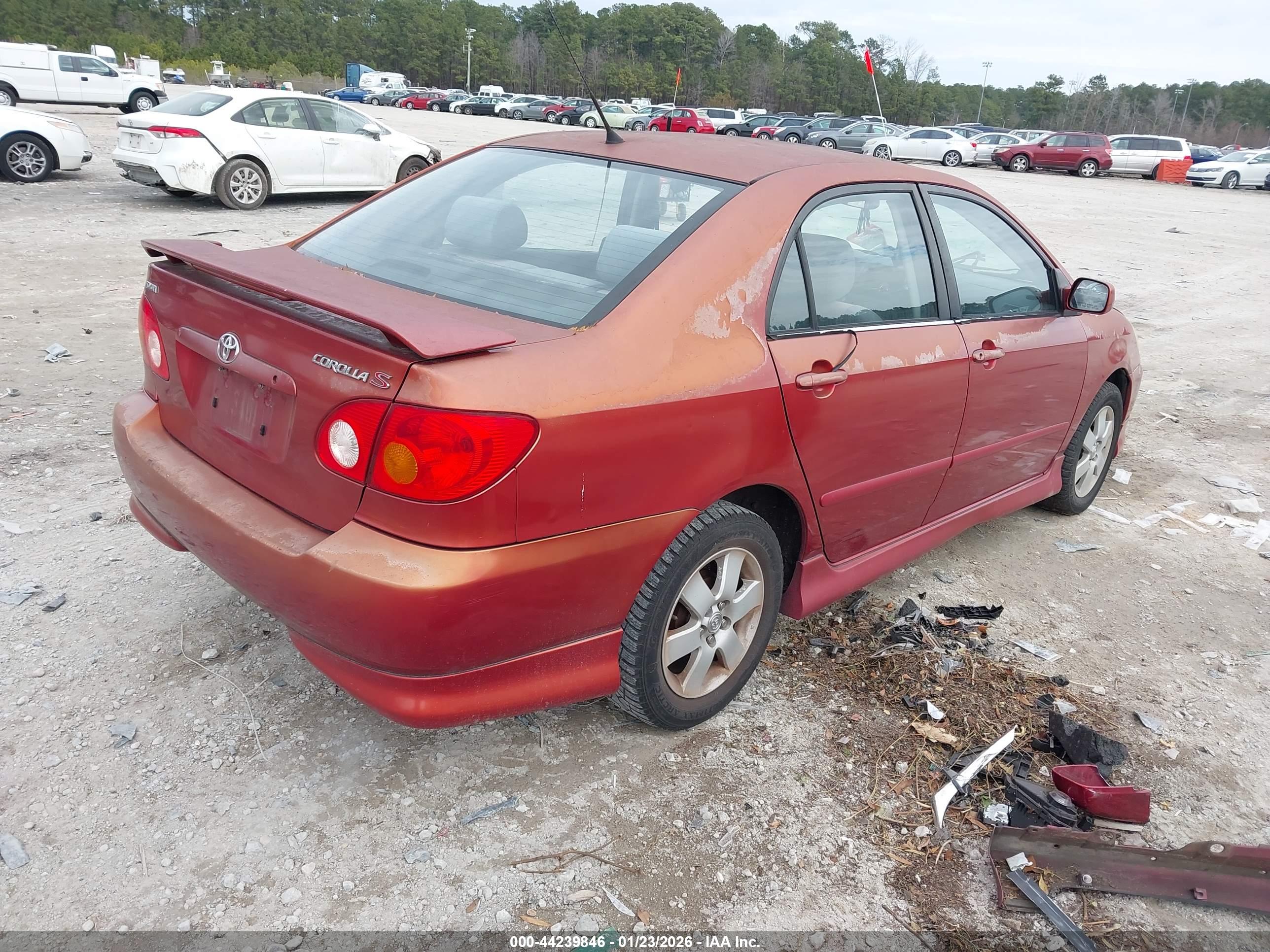 TOYOTA COROLLA image 4