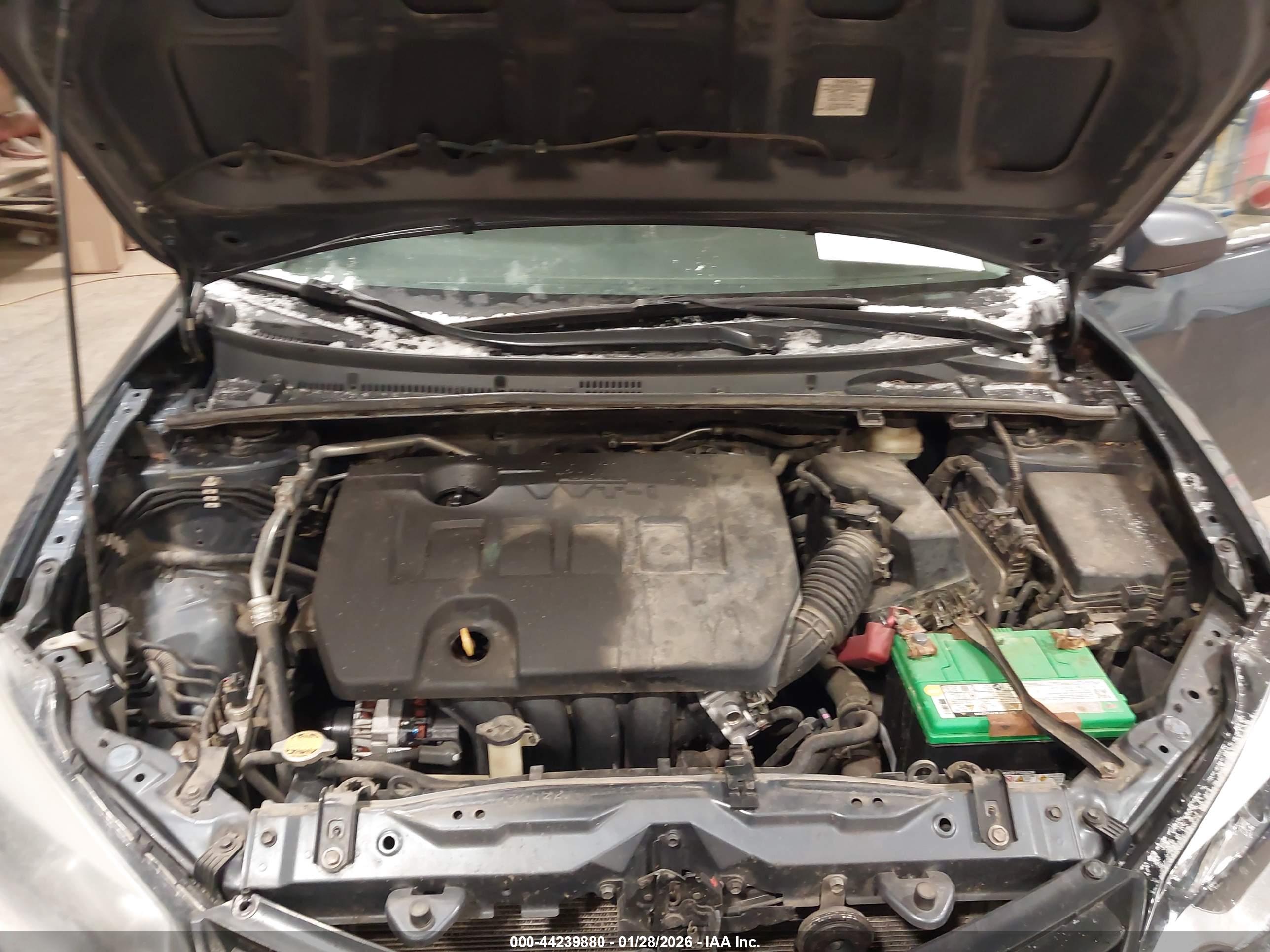TOYOTA COROLLA image 10