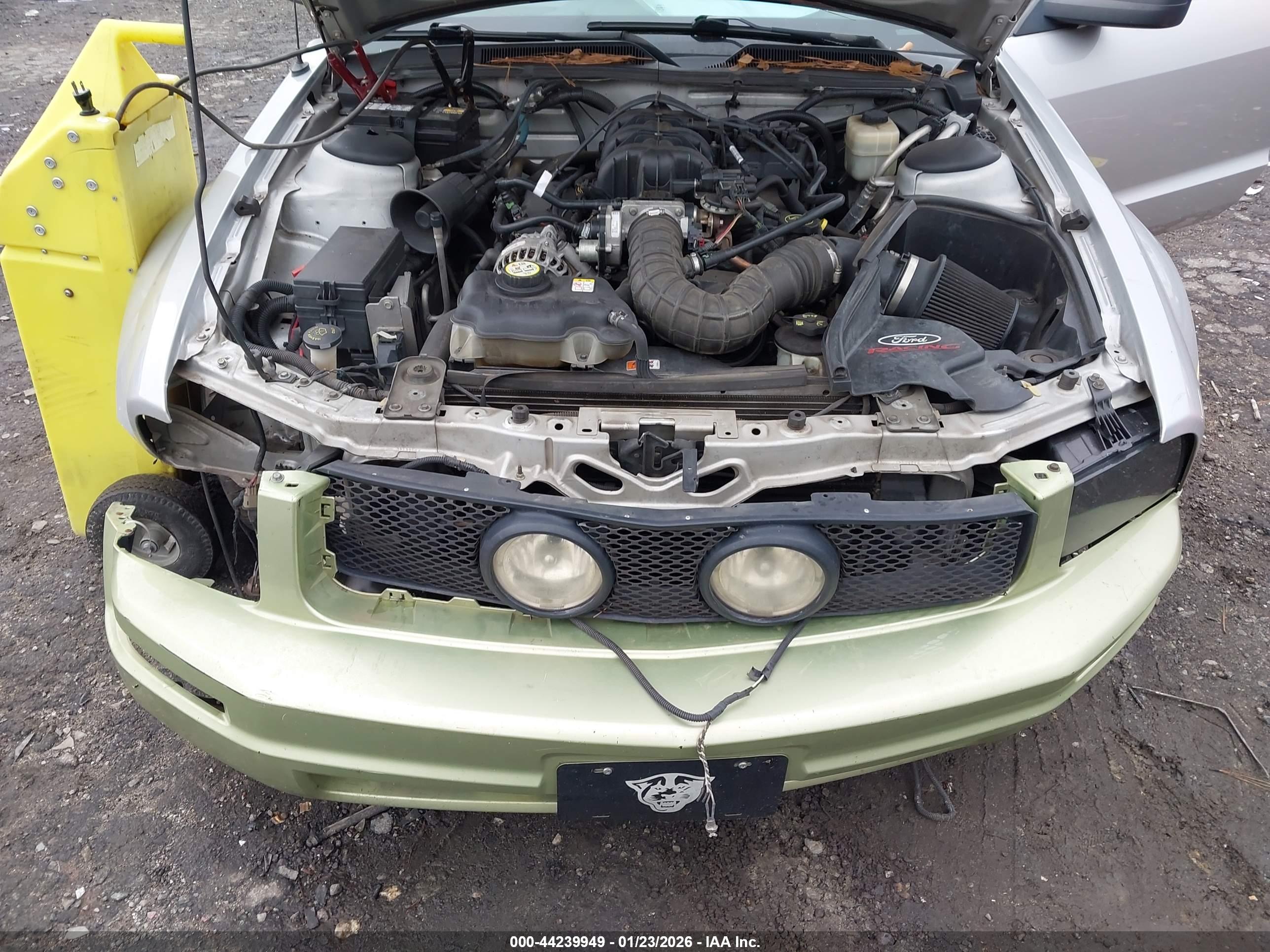 FORD MUSTANG image 10