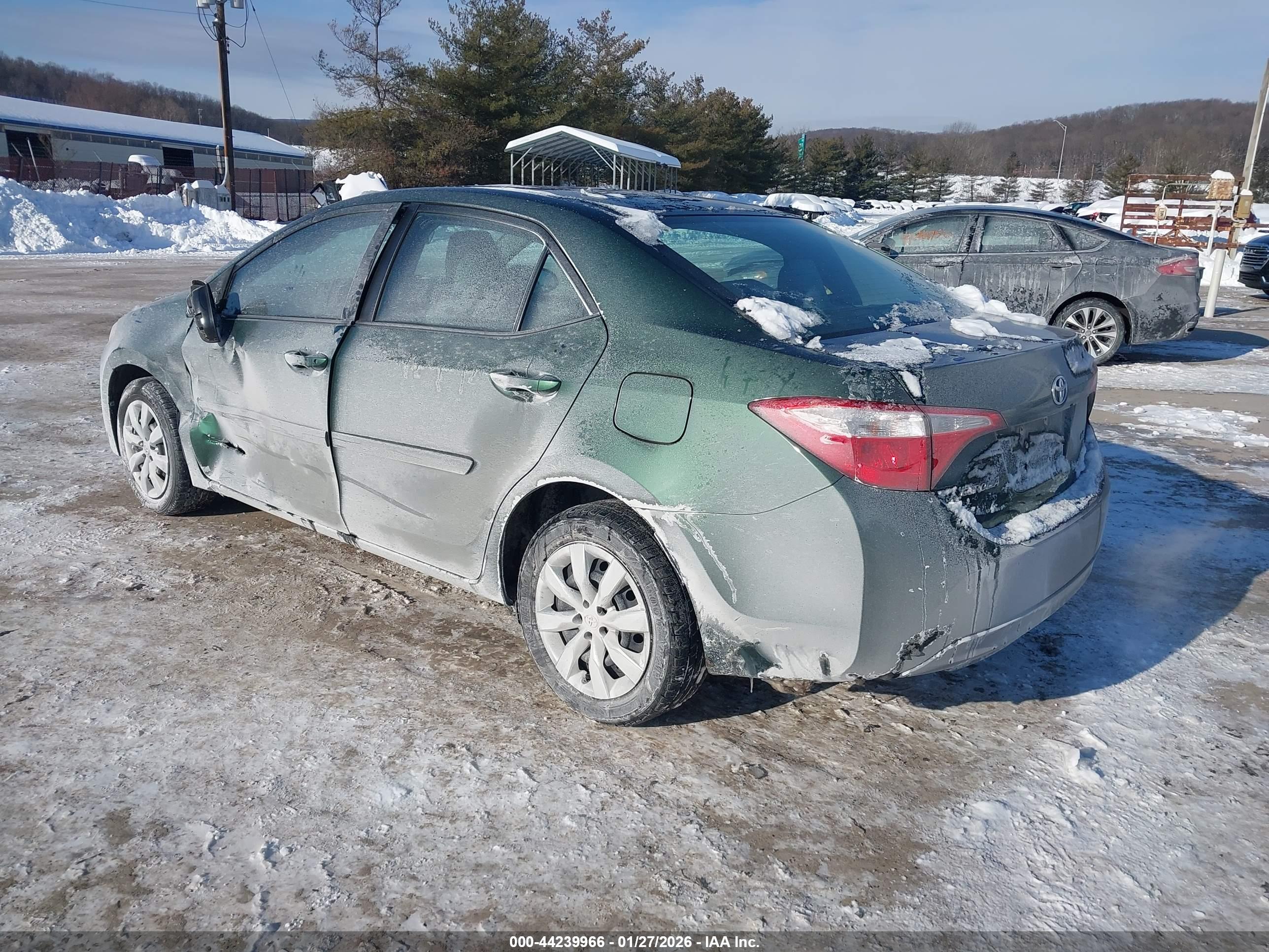 TOYOTA COROLLA image 3