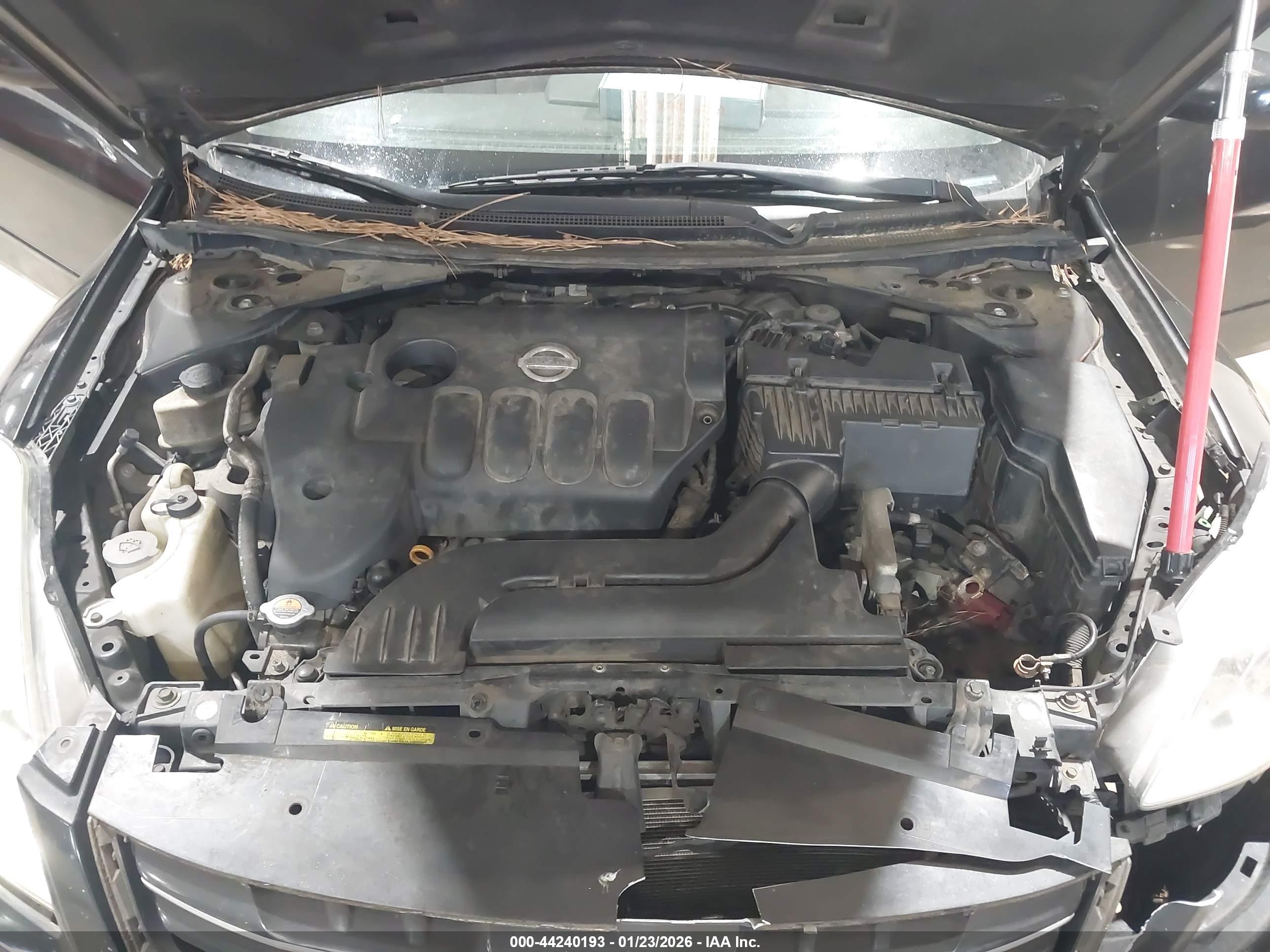 NISSAN ALTIMA image 10
