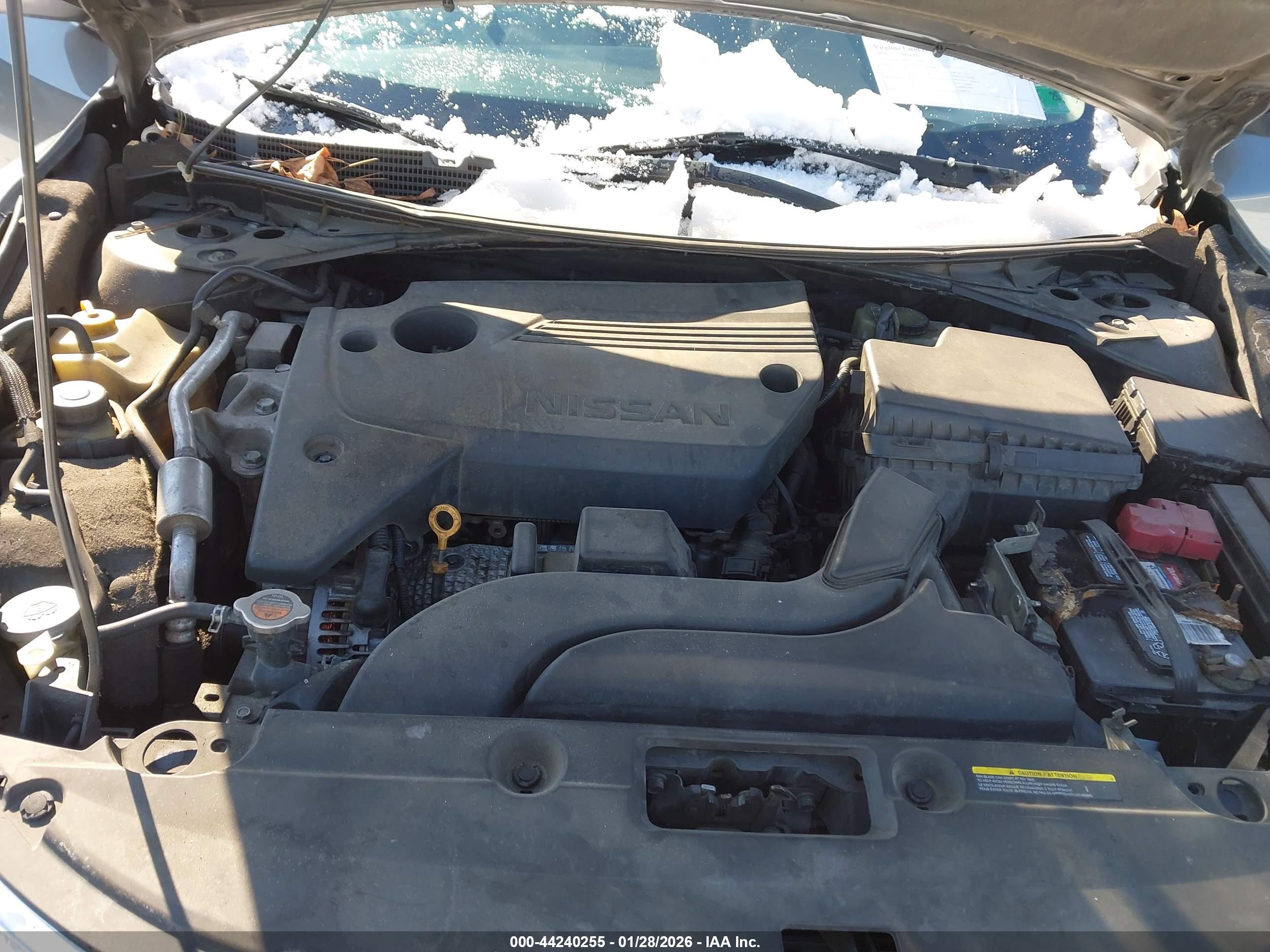 NISSAN ALTIMA image 10