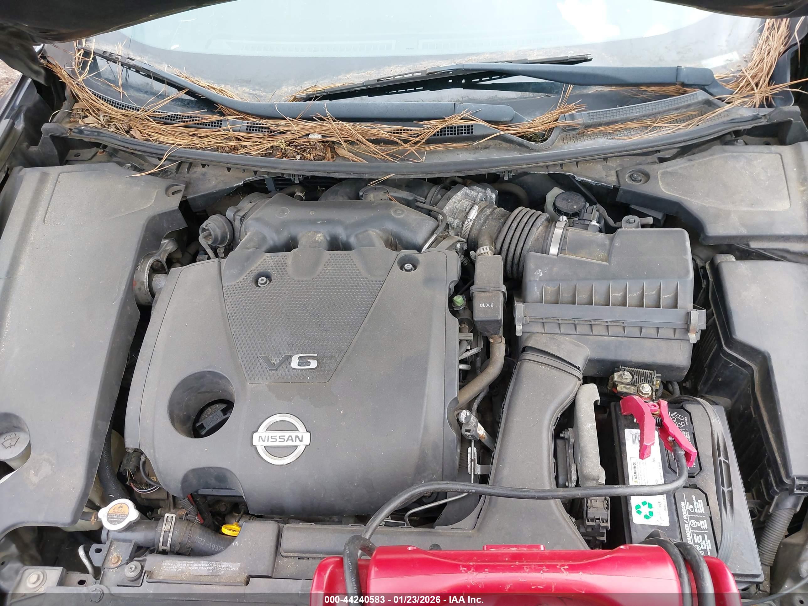 NISSAN MAXIMA image 10