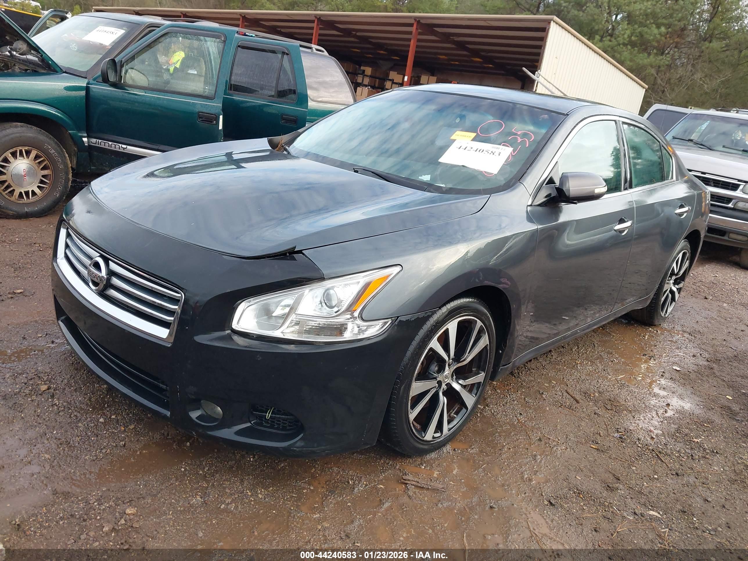 NISSAN MAXIMA image 2