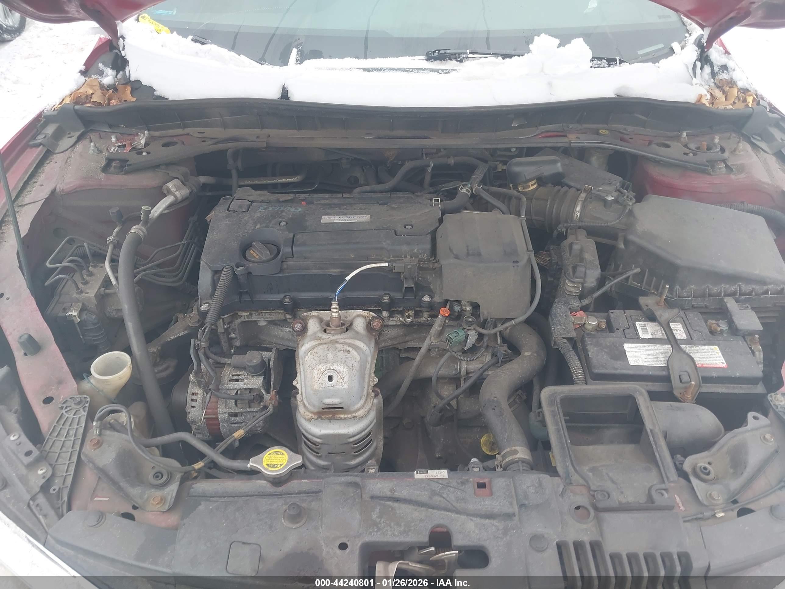 HONDA ACCORD image 10