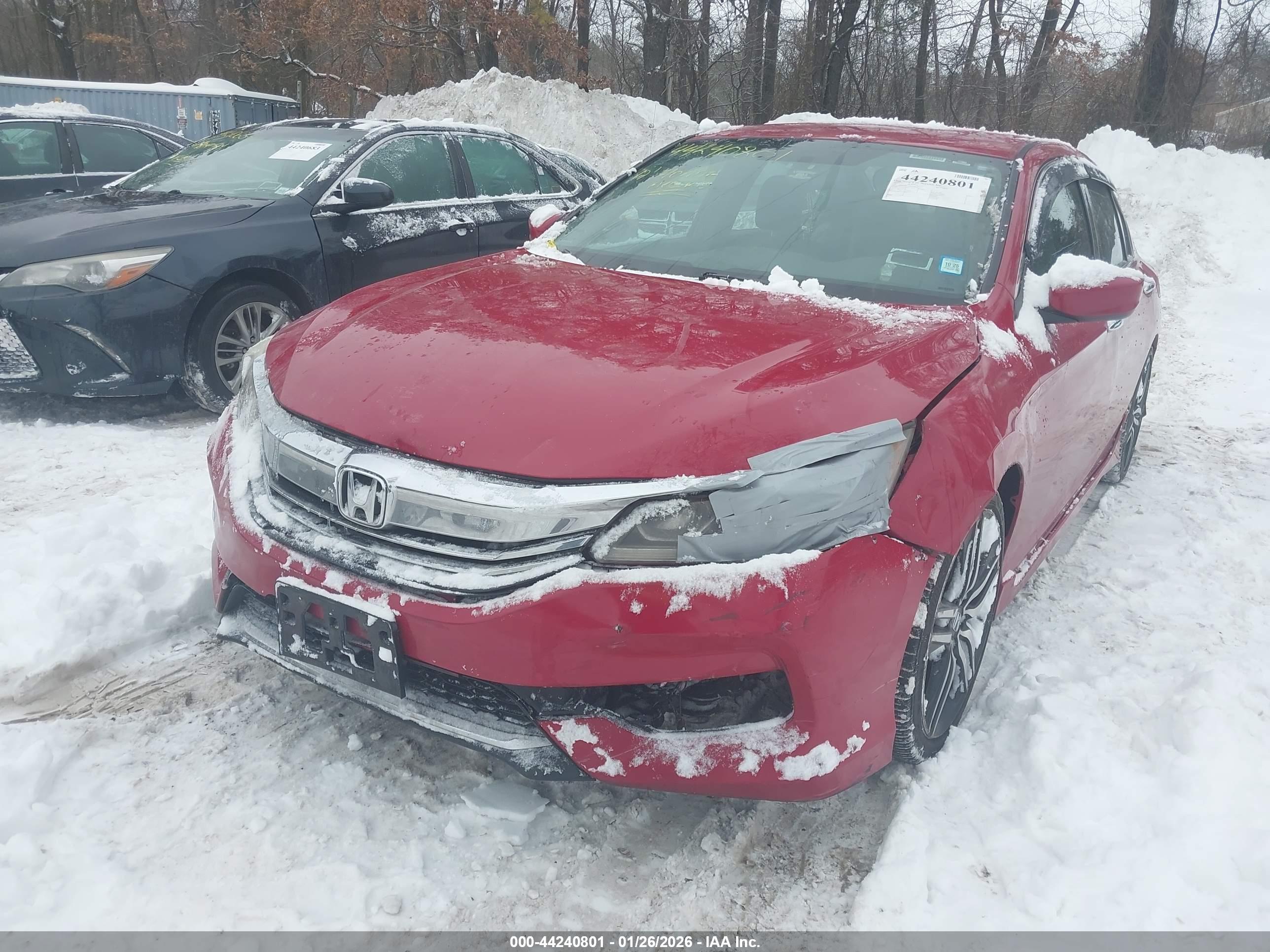 HONDA ACCORD image 6