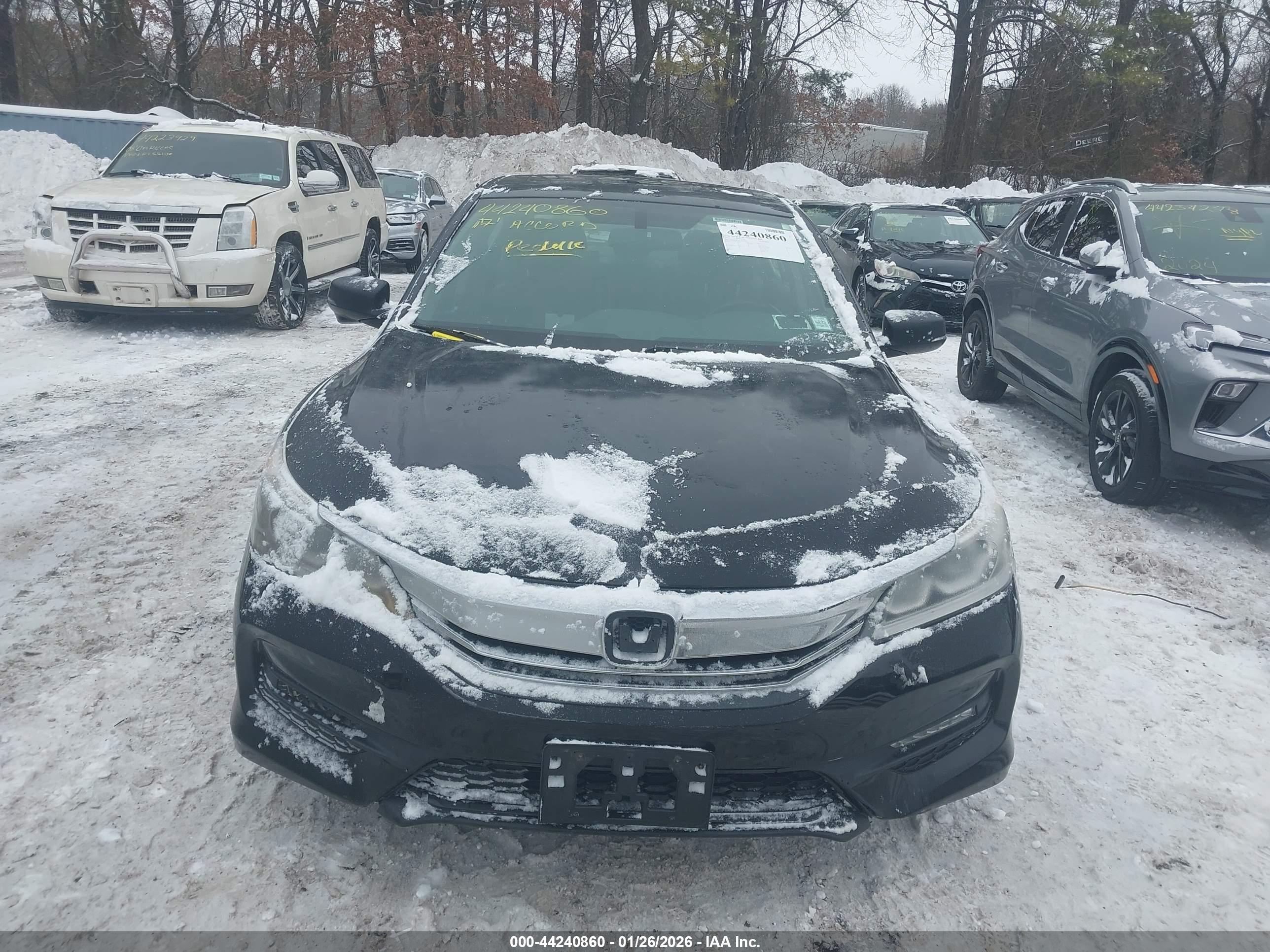 HONDA ACCORD image 6