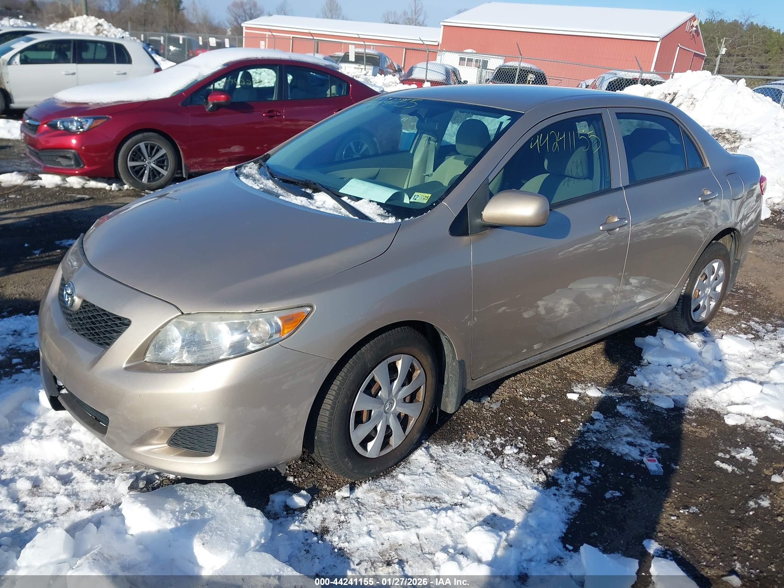 TOYOTA COROLLA image 2