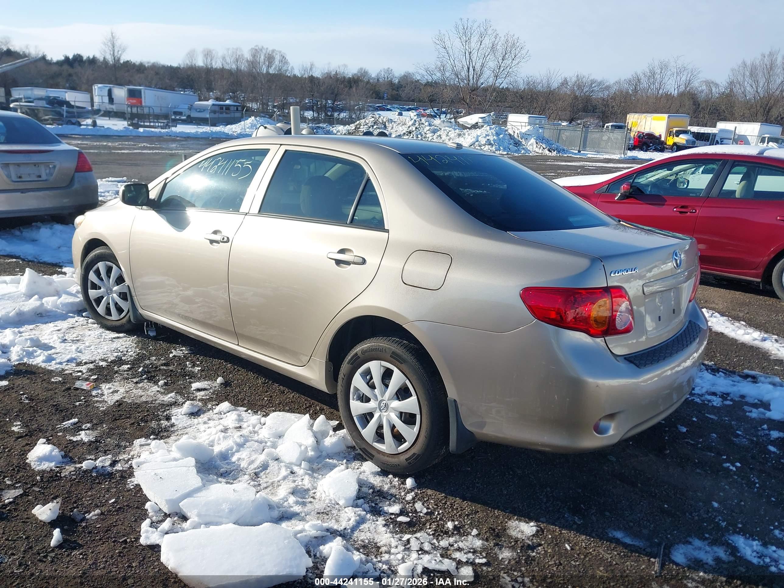 TOYOTA COROLLA image 3