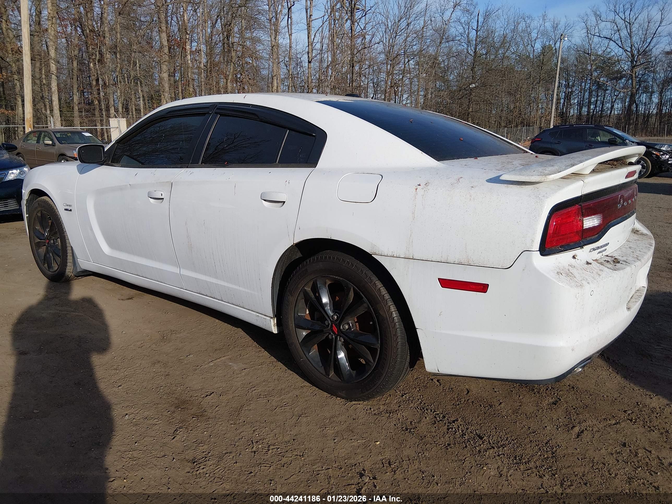 DODGE CHARGER image 3