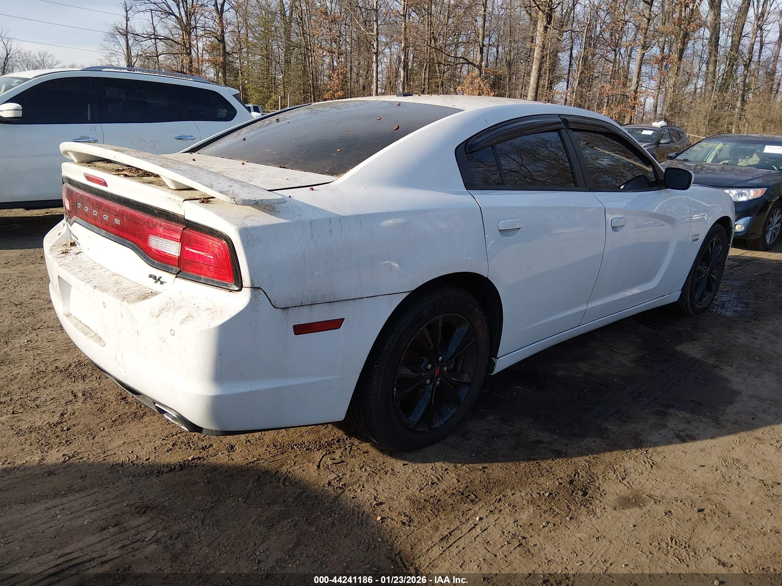 DODGE CHARGER image 4