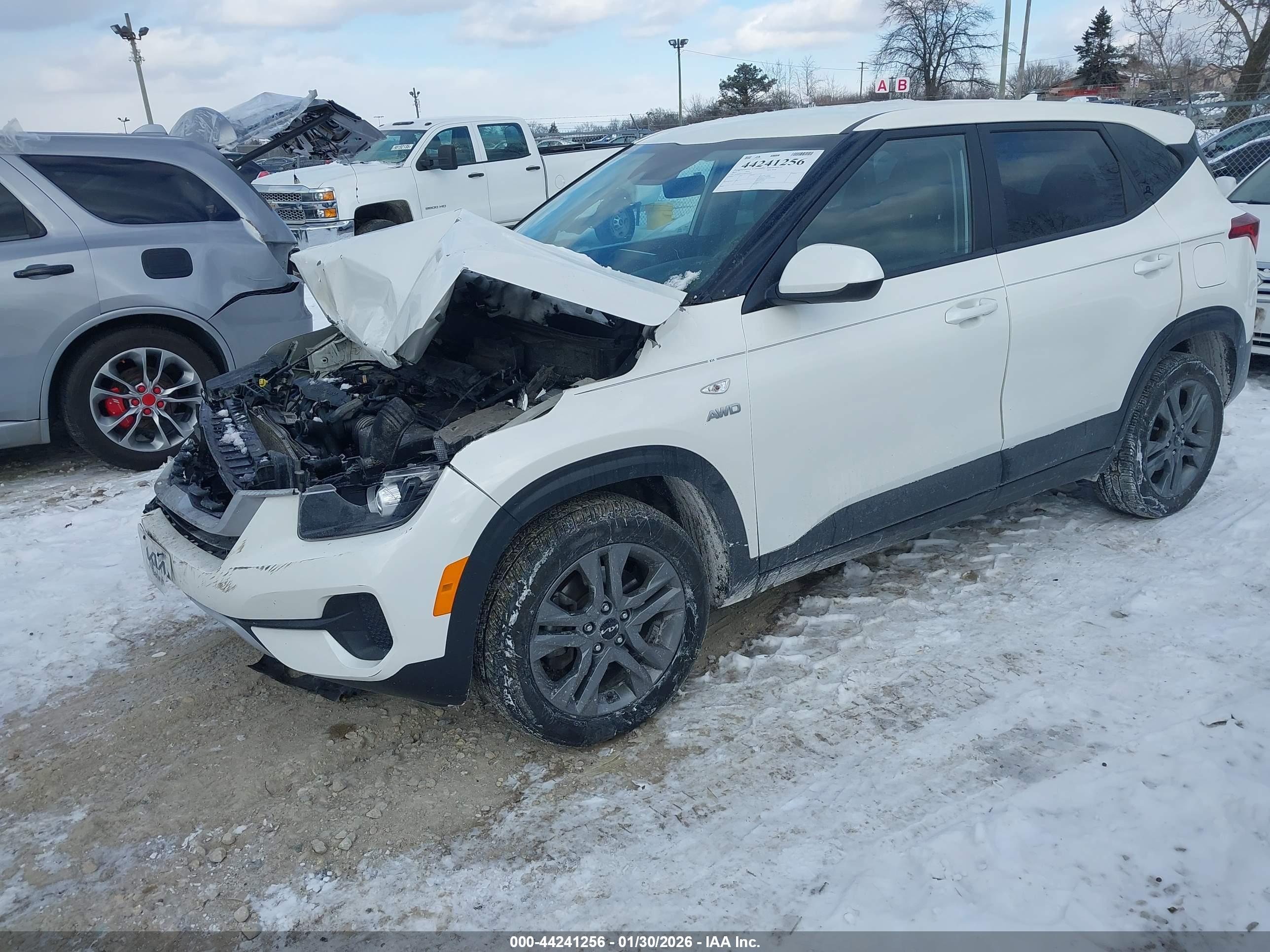KIA SELTOS image 2
