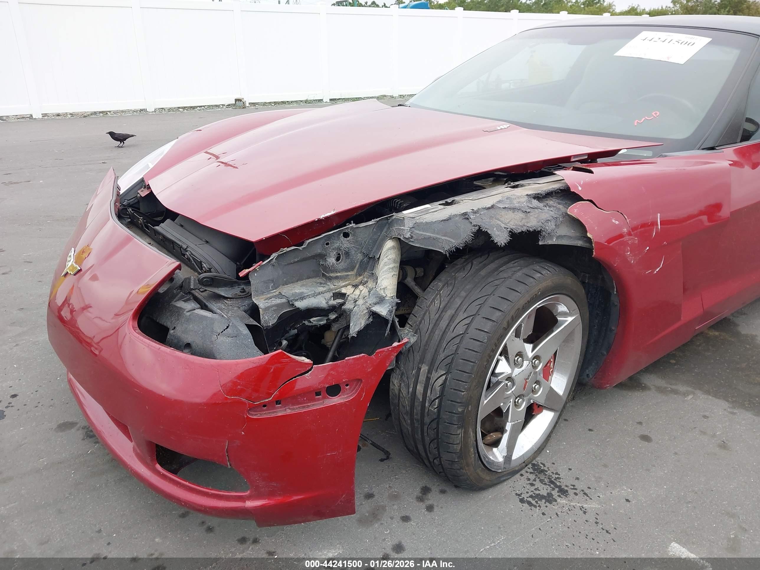 CHEVROLET CORVETTE image 6