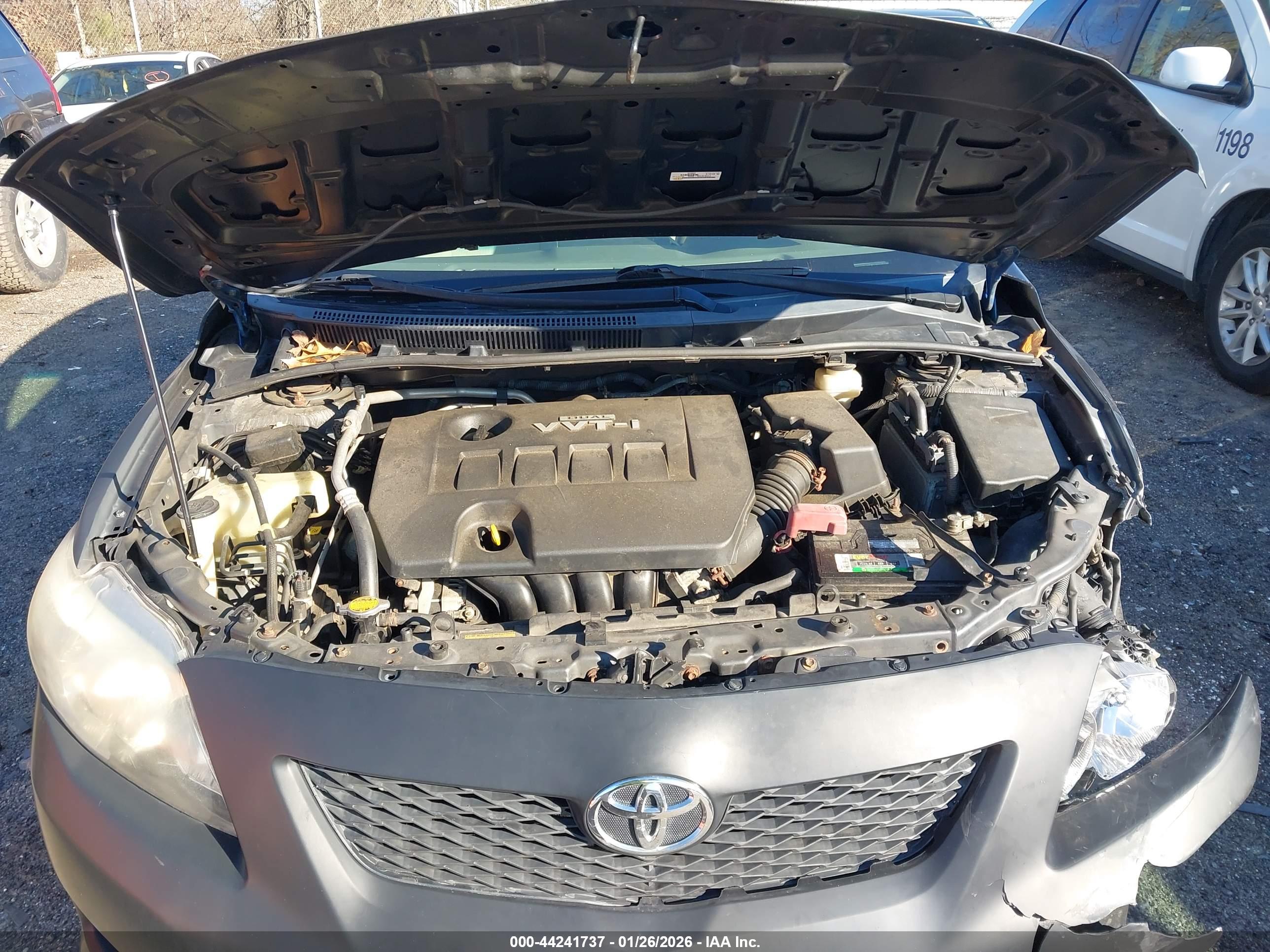 TOYOTA COROLLA image 10