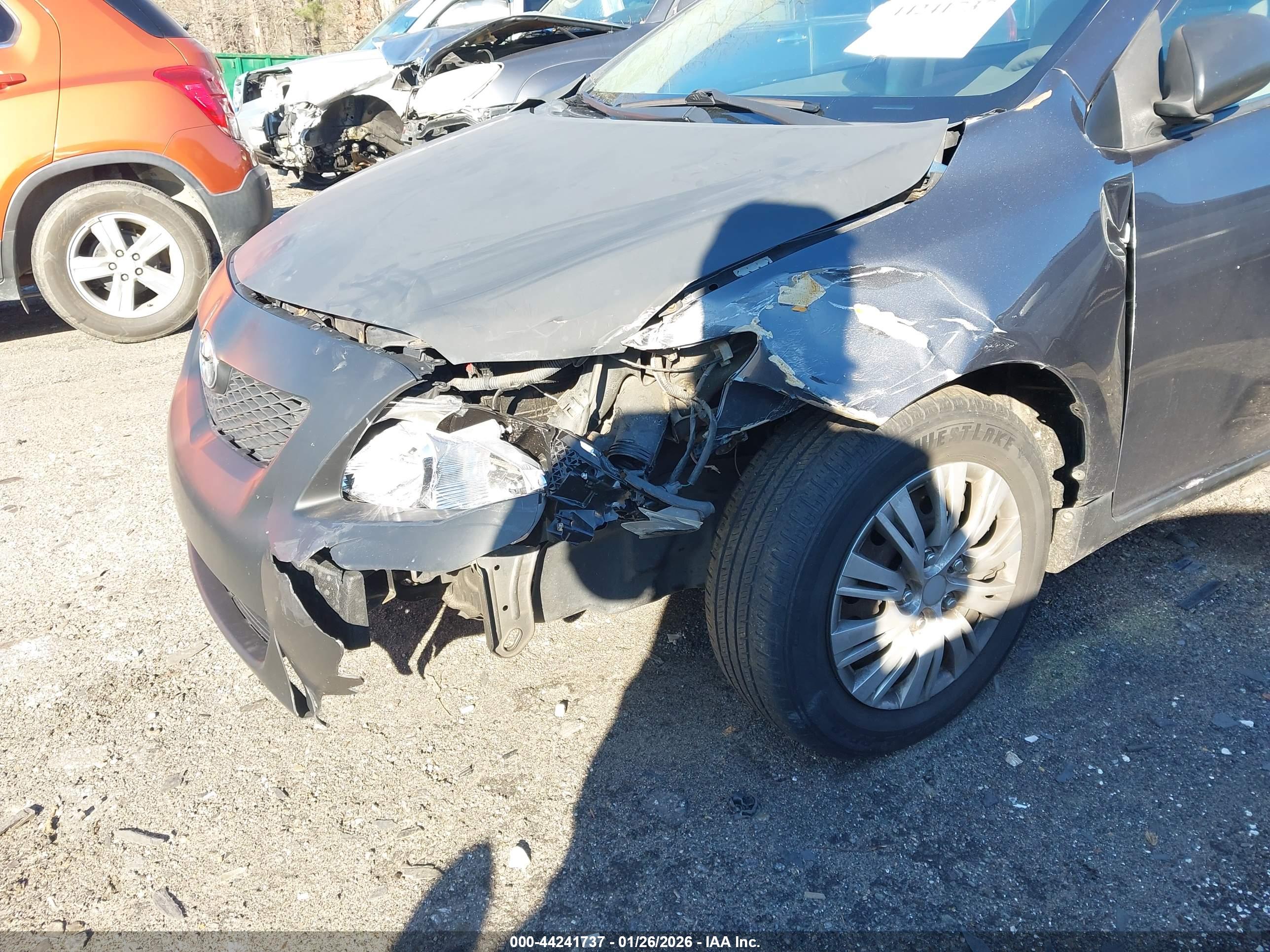 TOYOTA COROLLA image 6